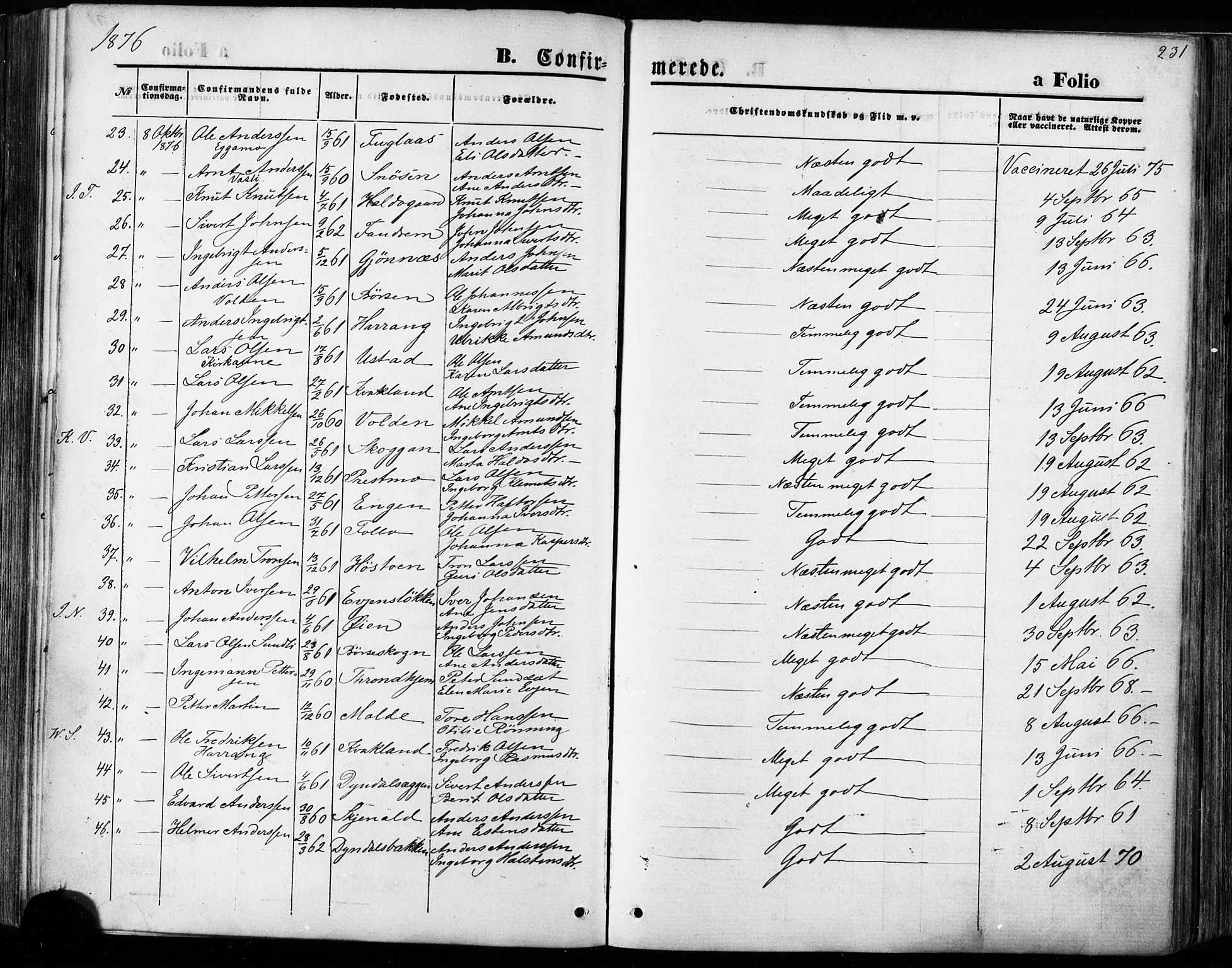Ministerialprotokoller, klokkerbøker og fødselsregistre - Sør-Trøndelag, AV/SAT-A-1456/668/L0807: Ministerialbok nr. 668A07, 1870-1880, s. 231