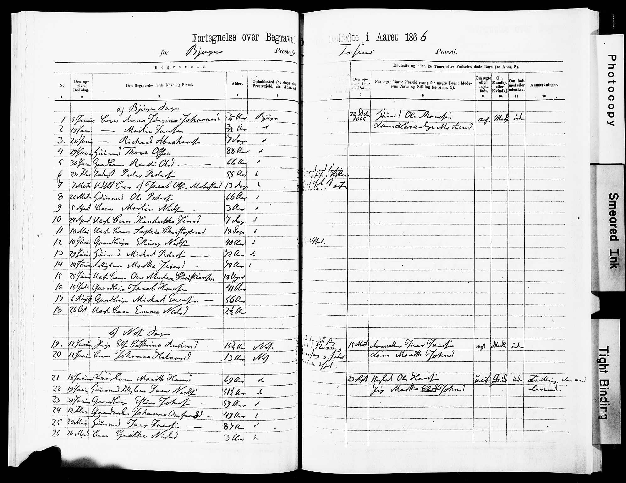 Ministerialprotokoller, klokkerbøker og fødselsregistre - Sør-Trøndelag, AV/SAT-A-1456/651/L0642: Ministerialbok nr. 651A01, 1866-1872