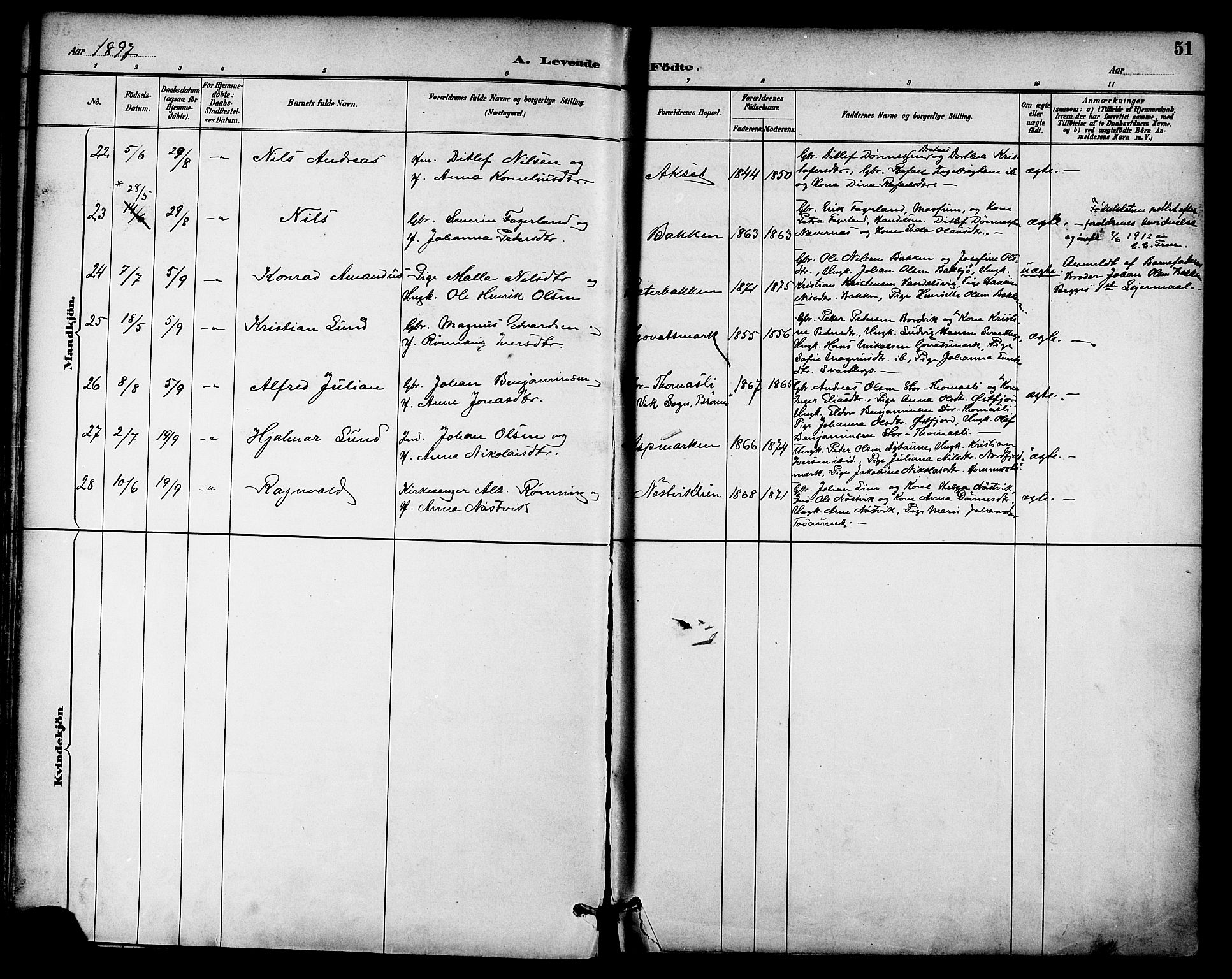 Ministerialprotokoller, klokkerbøker og fødselsregistre - Nordland, SAT/A-1459/814/L0226: Ministerialbok nr. 814A07, 1886-1898, s. 51