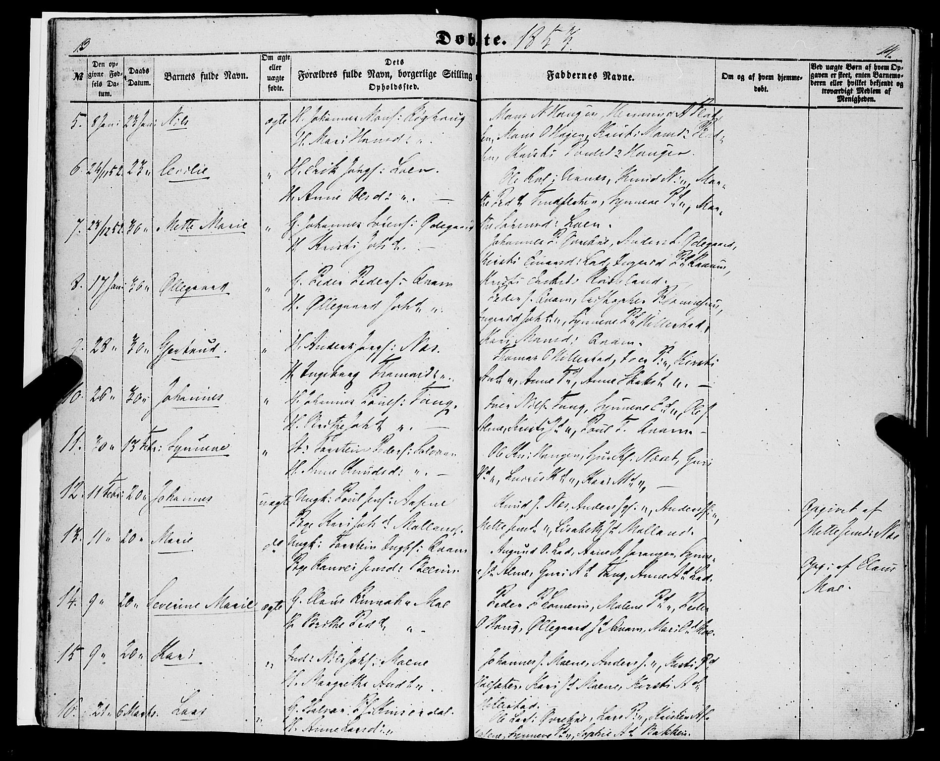 Hafslo sokneprestembete, AV/SAB-A-80301/H/Haa/Haaa/L0009: Ministerialbok nr. A 9, 1852-1873, s. 13-14