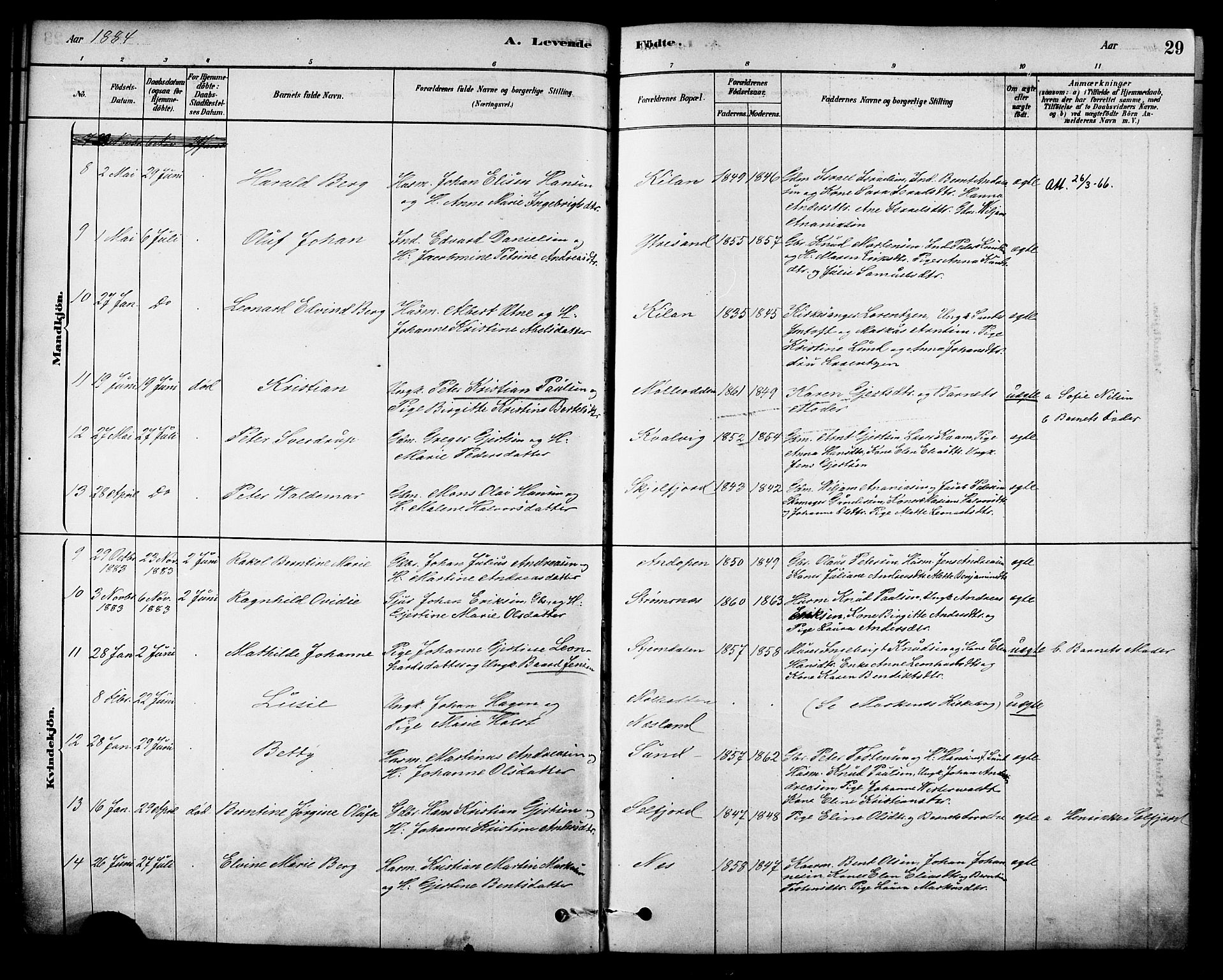 Ministerialprotokoller, klokkerbøker og fødselsregistre - Nordland, SAT/A-1459/885/L1204: Ministerialbok nr. 885A05, 1878-1892, s. 29
