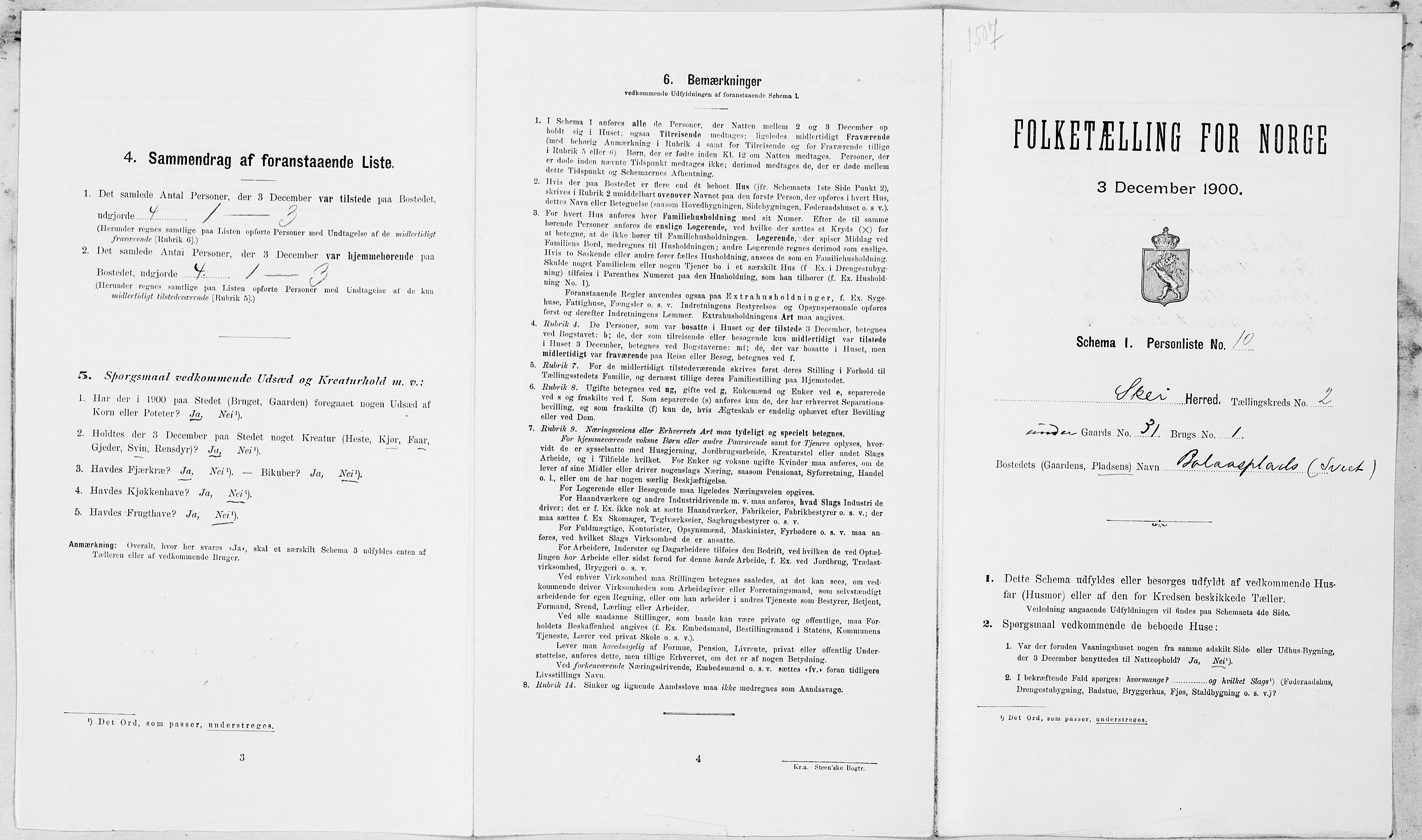 SAT, Folketelling 1900 for 1732 Skei herred, 1900, s. 196
