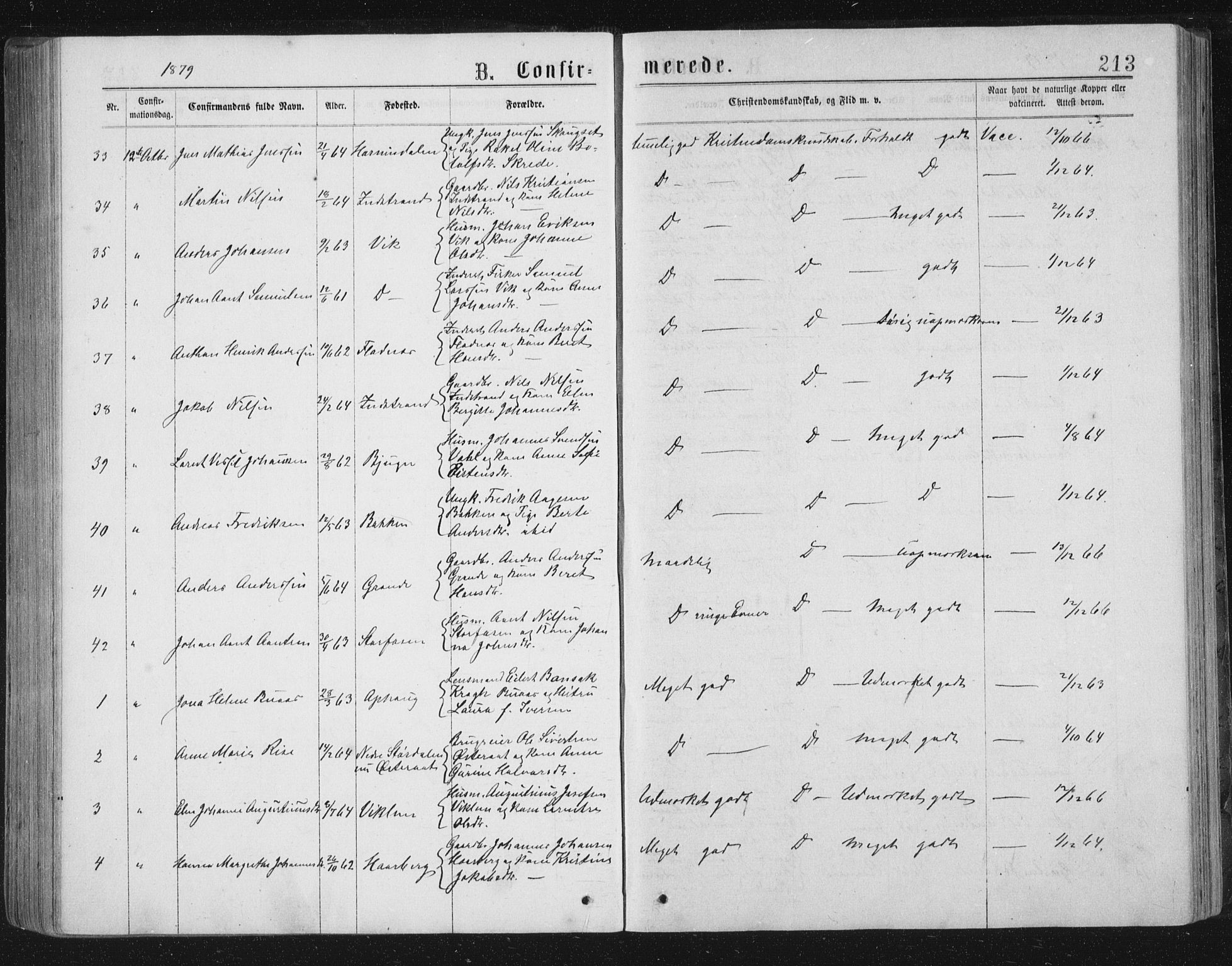 Ministerialprotokoller, klokkerbøker og fødselsregistre - Sør-Trøndelag, SAT/A-1456/659/L0745: Klokkerbok nr. 659C02, 1869-1892, s. 213