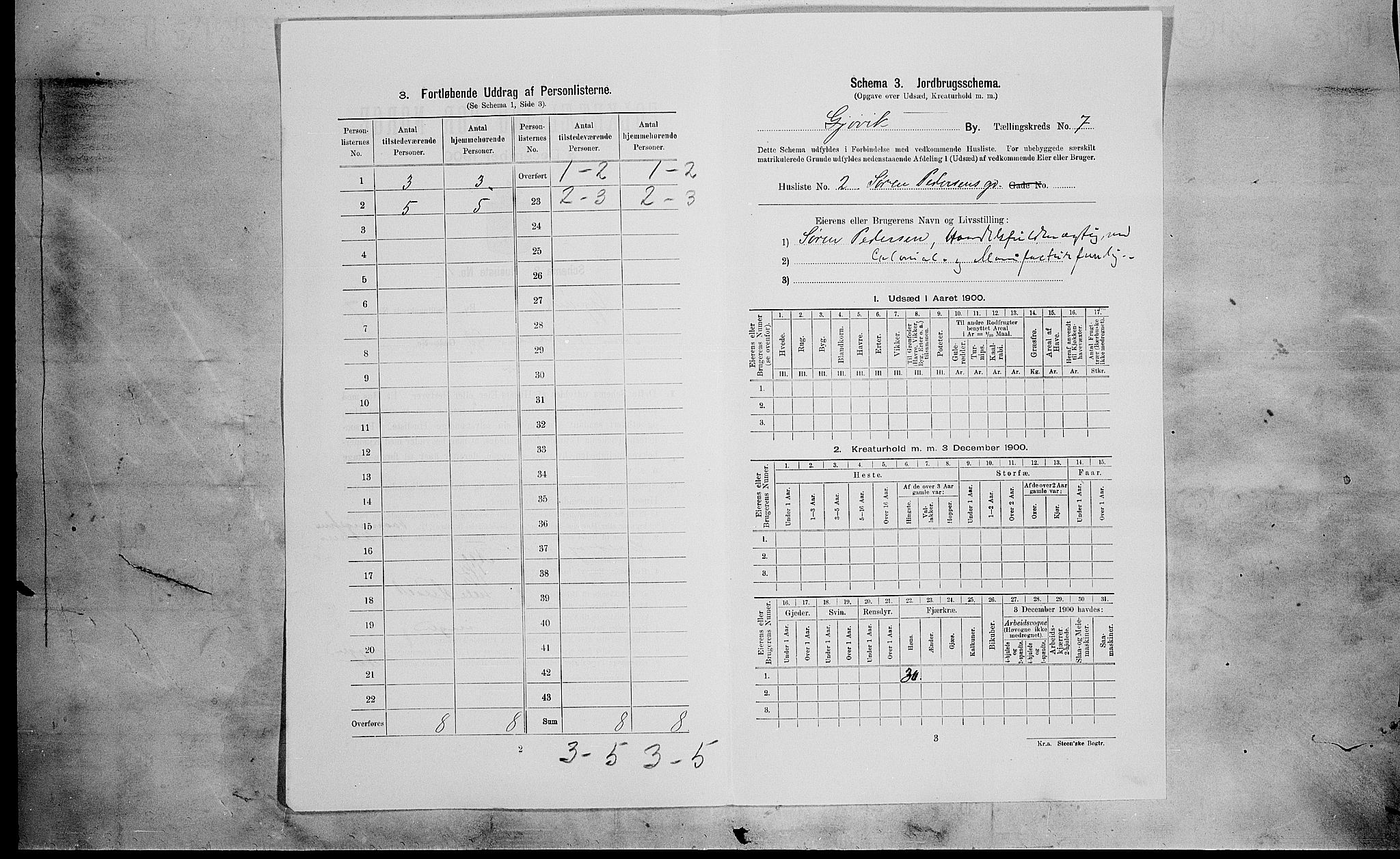 SAH, Folketelling 1900 for 0502 Gjøvik kjøpstad, 1900, s. 926