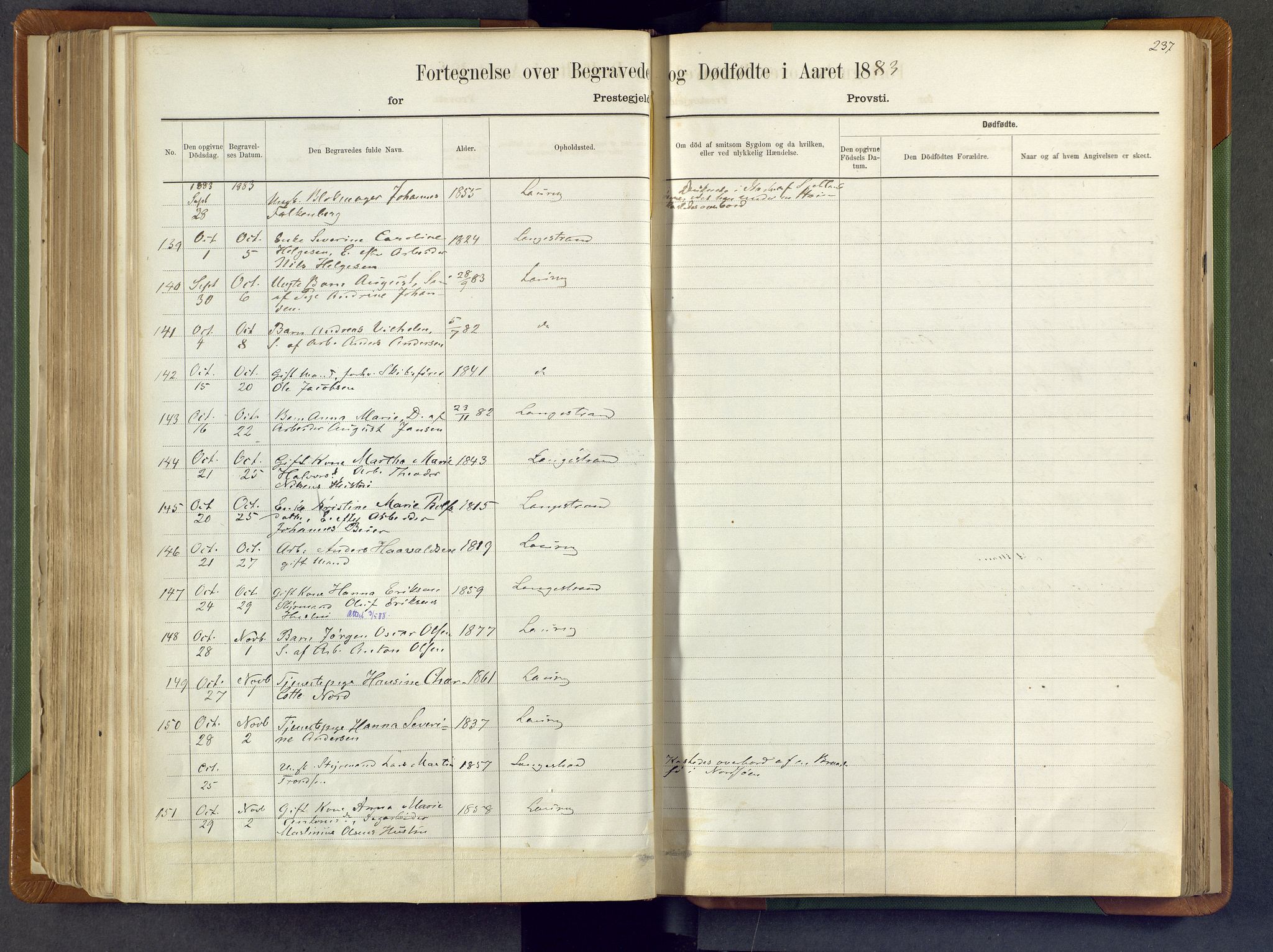 Larvik kirkebøker, AV/SAKO-A-352/F/Fa/L0007: Ministerialbok nr. I 7, 1871-1883, s. 237