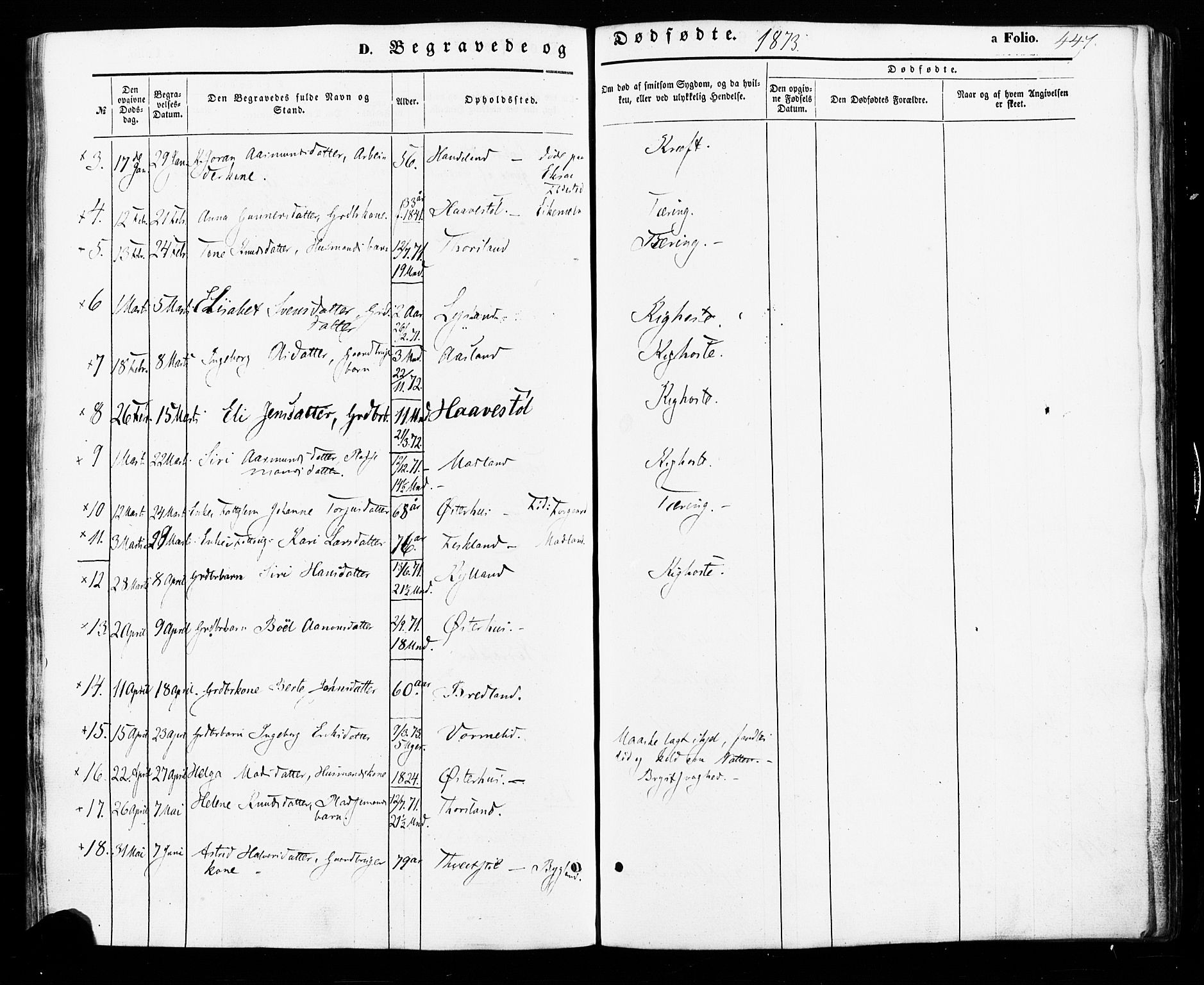 Åseral sokneprestkontor, AV/SAK-1111-0051/F/Fa/L0002: Ministerialbok nr. A 2, 1854-1884, s. 447