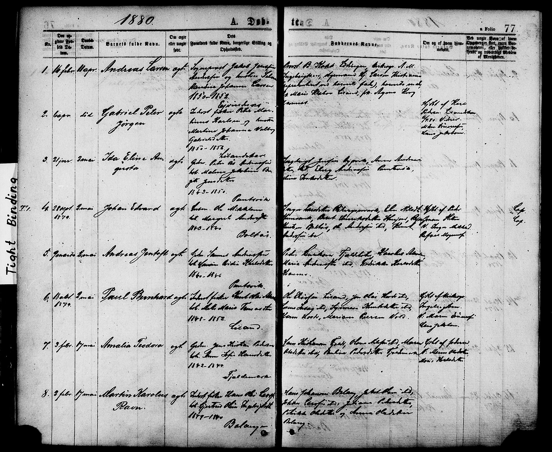 Ministerialprotokoller, klokkerbøker og fødselsregistre - Nordland, AV/SAT-A-1459/863/L0897: Ministerialbok nr. 863A09, 1872-1886, s. 77