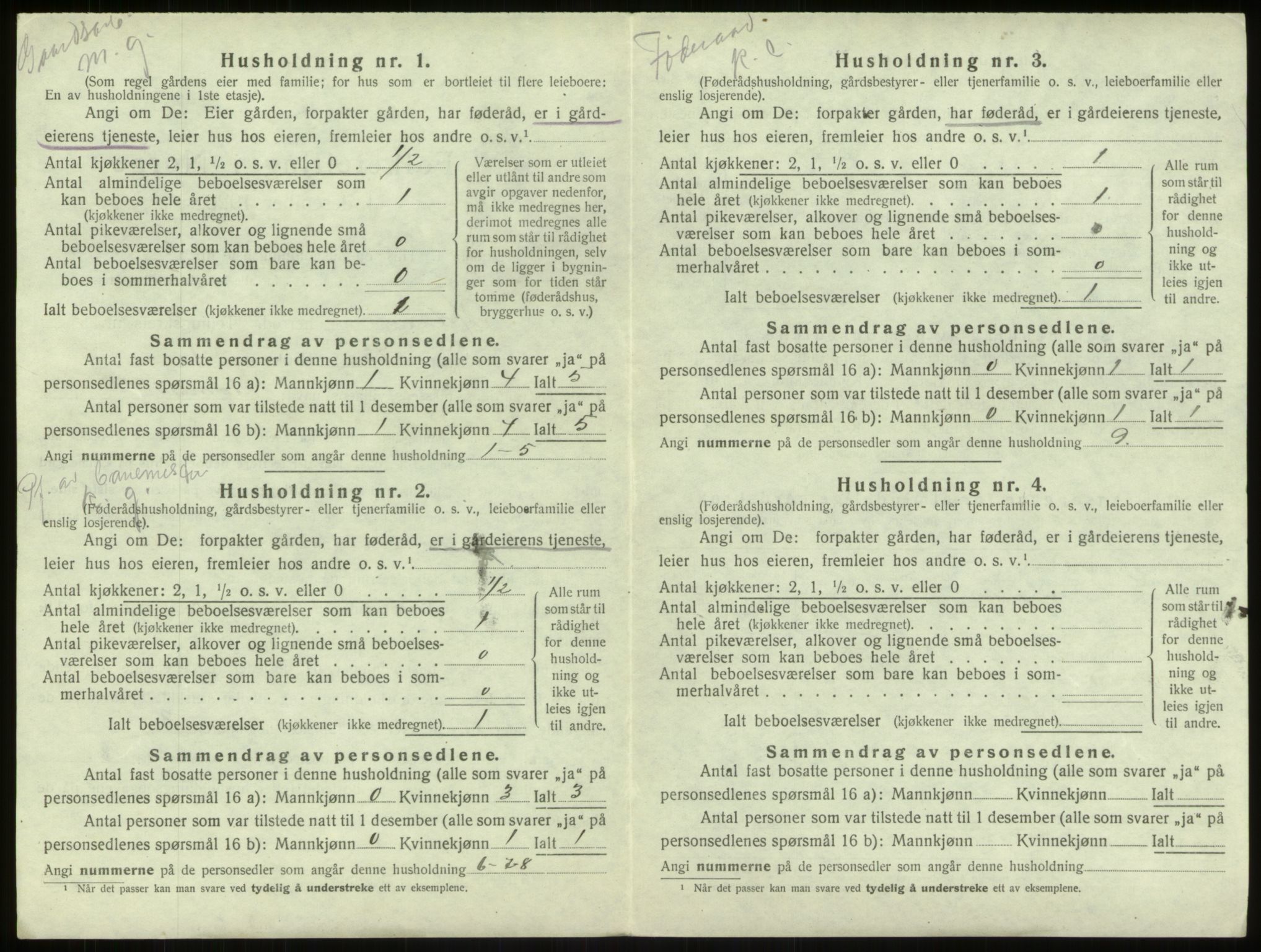 SAB, Folketelling 1920 for 1250 Haus herred, 1920, s. 393