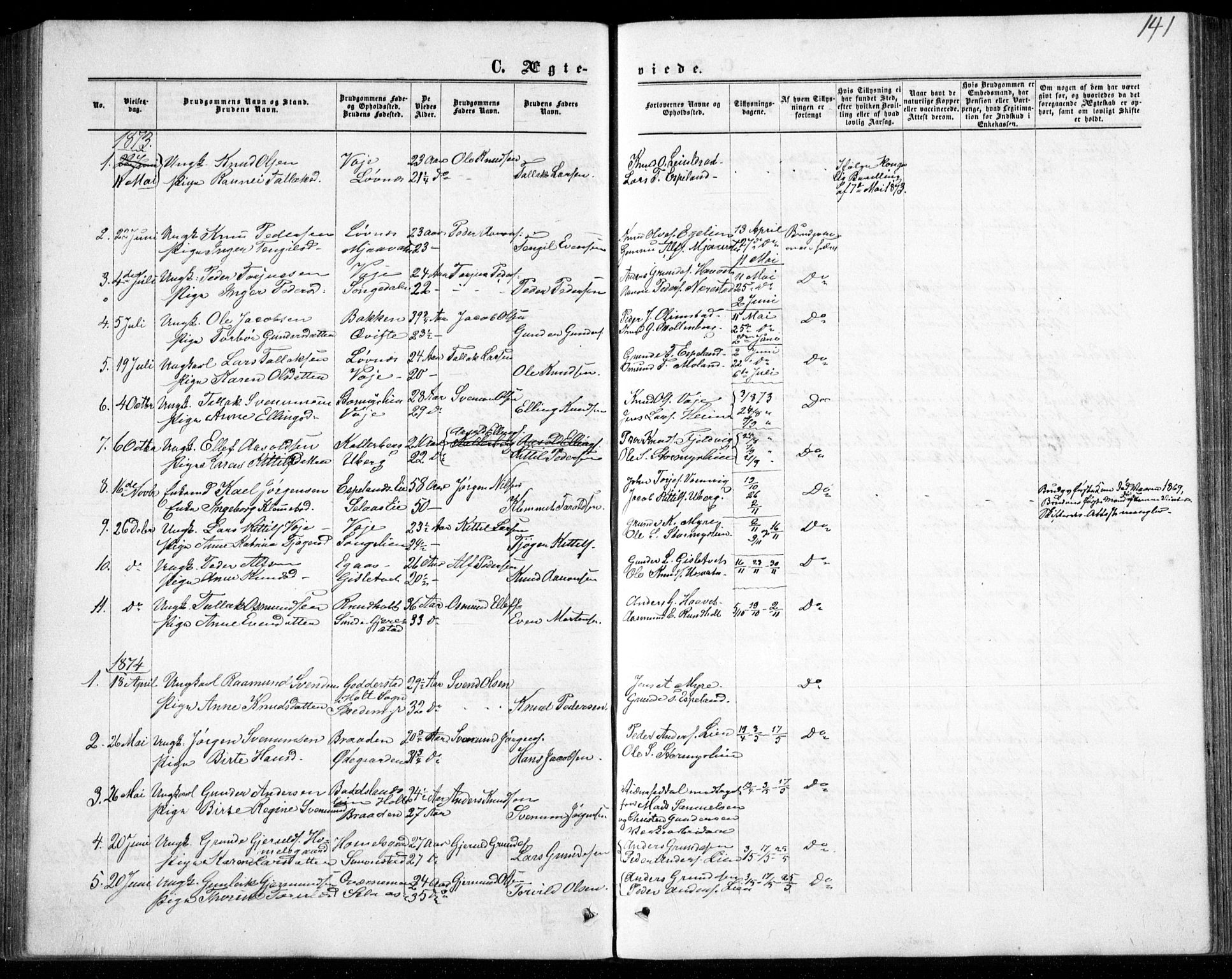 Gjerstad sokneprestkontor, SAK/1111-0014/F/Fb/Fbb/L0003: Klokkerbok nr. B 3, 1862-1889, s. 141