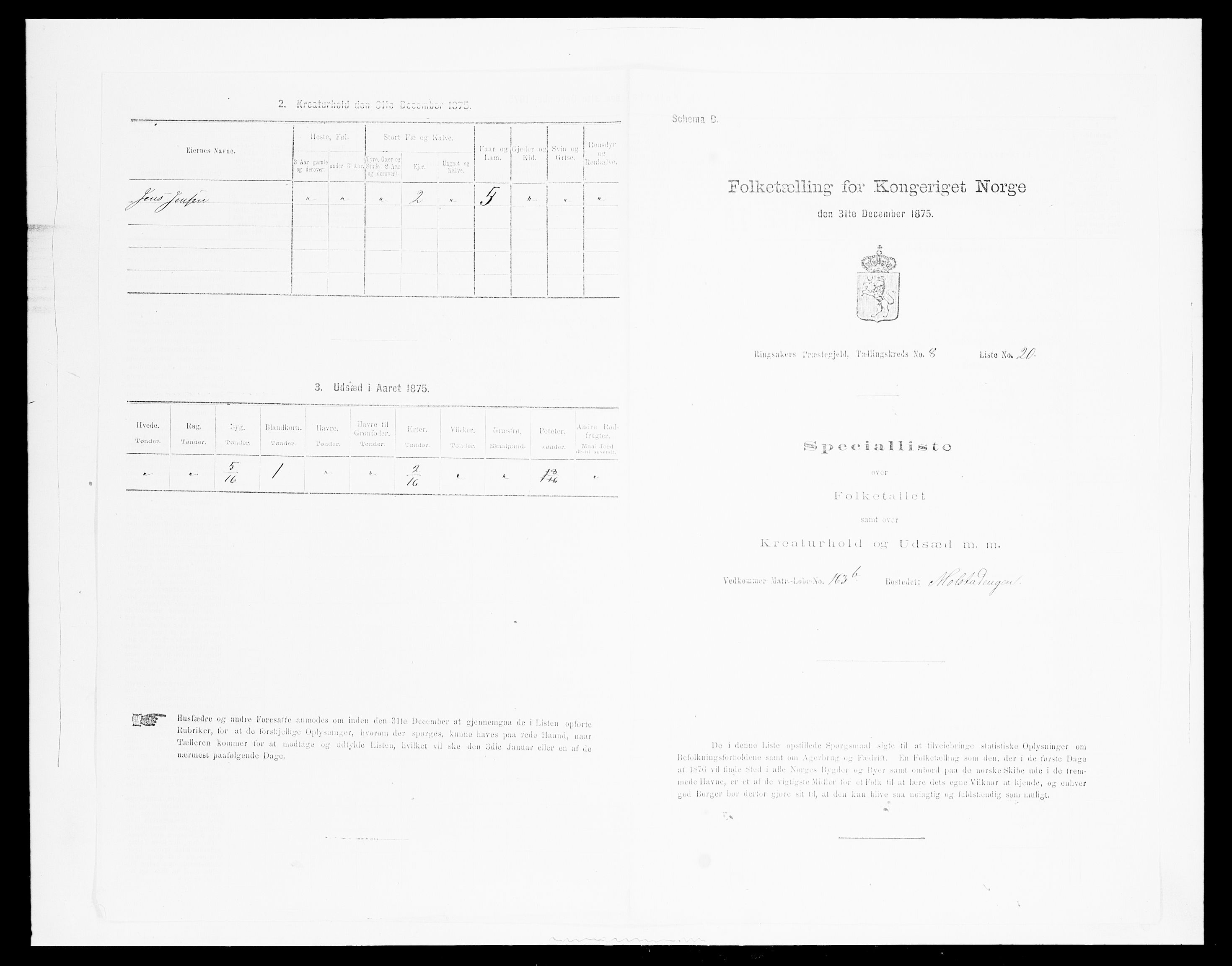 SAH, Folketelling 1875 for 0412P Ringsaker prestegjeld, 1875, s. 1666