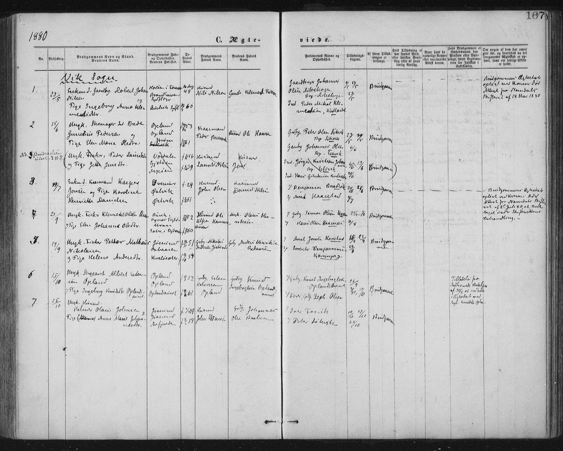 Ministerialprotokoller, klokkerbøker og fødselsregistre - Nord-Trøndelag, SAT/A-1458/771/L0596: Ministerialbok nr. 771A03, 1870-1884, s. 167