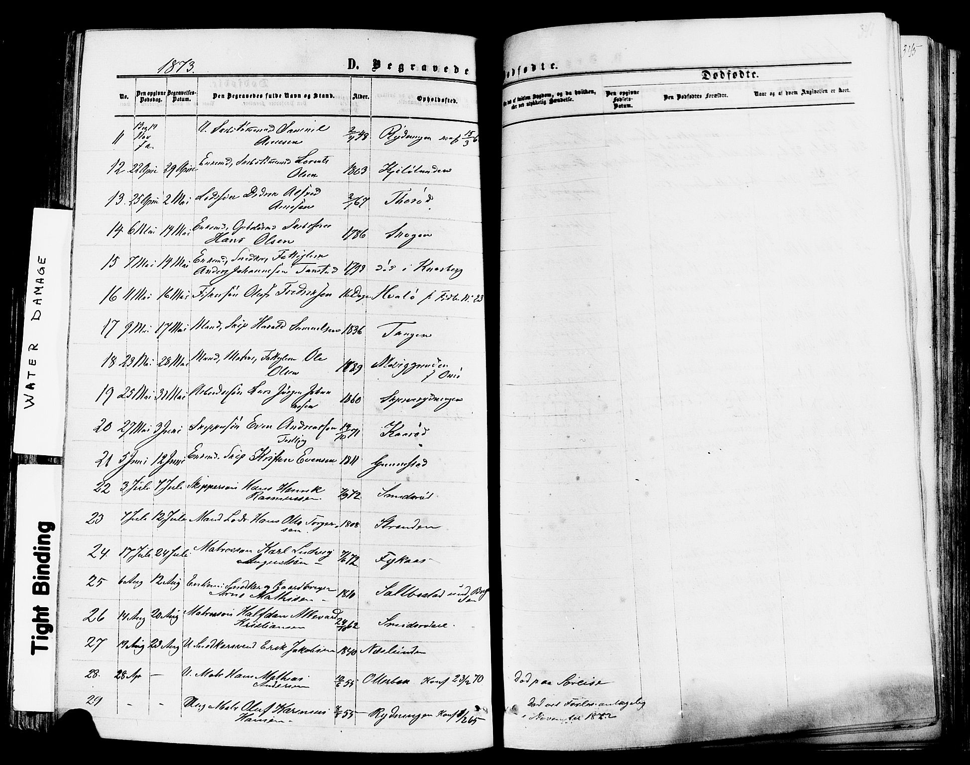 Nøtterøy kirkebøker, AV/SAKO-A-354/F/Fa/L0007: Ministerialbok nr. I 7, 1865-1877, s. 341