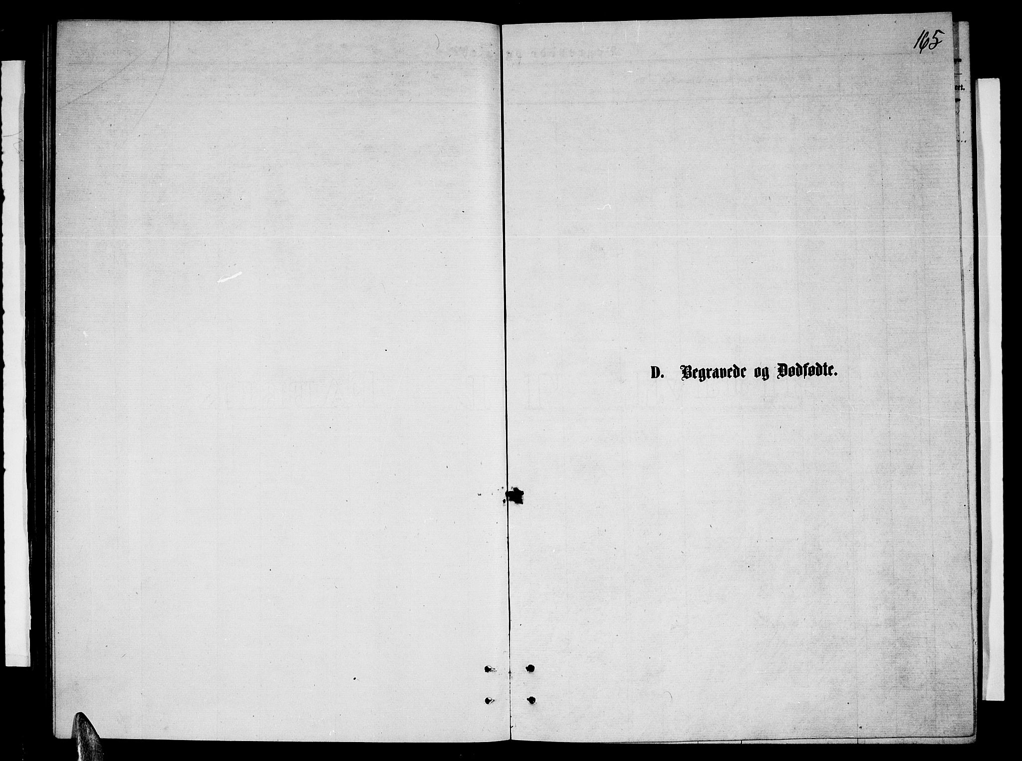 Ministerialprotokoller, klokkerbøker og fødselsregistre - Nordland, AV/SAT-A-1459/847/L0679: Klokkerbok nr. 847C07, 1870-1888, s. 165