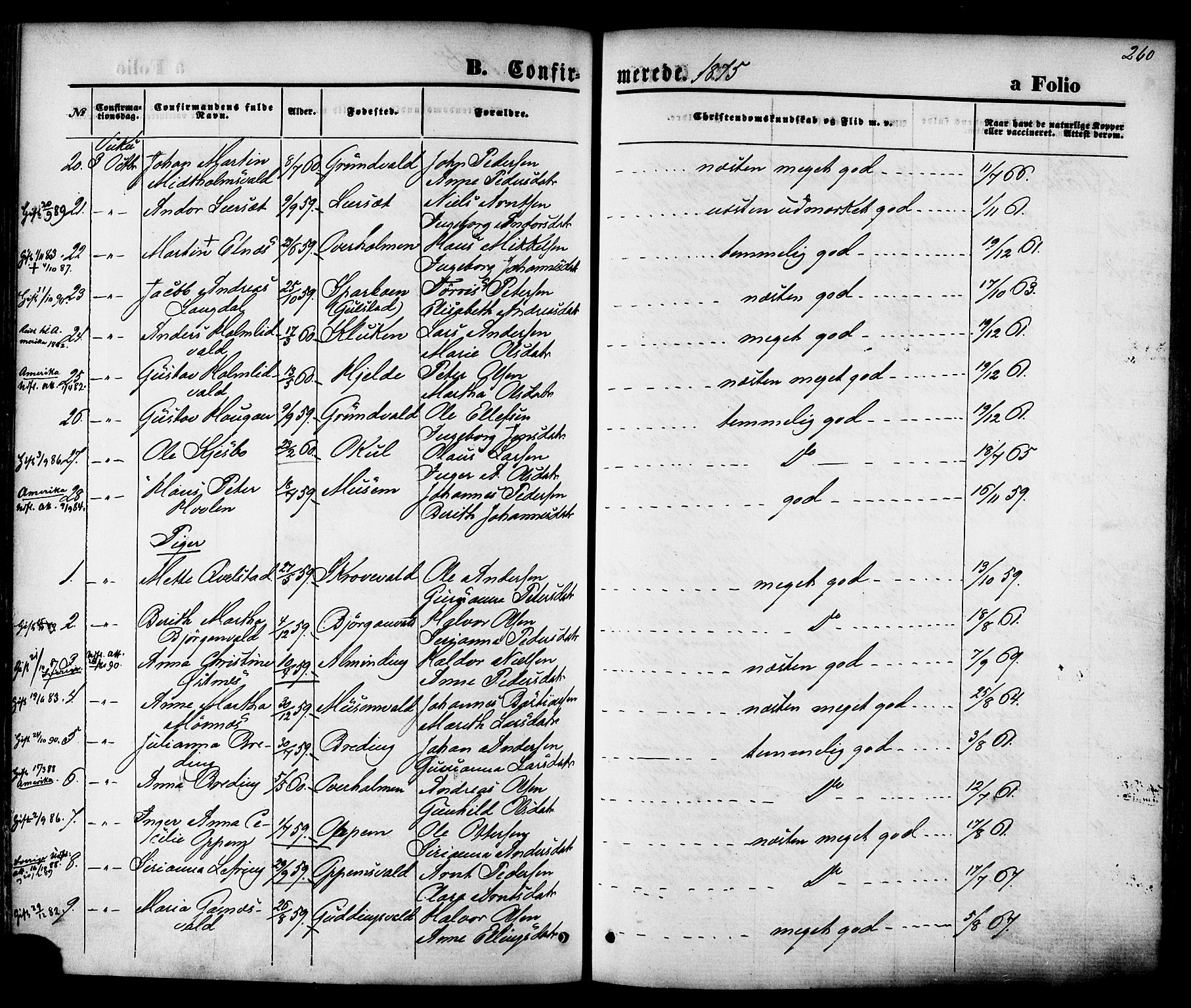 Ministerialprotokoller, klokkerbøker og fødselsregistre - Nord-Trøndelag, SAT/A-1458/723/L0242: Ministerialbok nr. 723A11, 1870-1880, s. 260