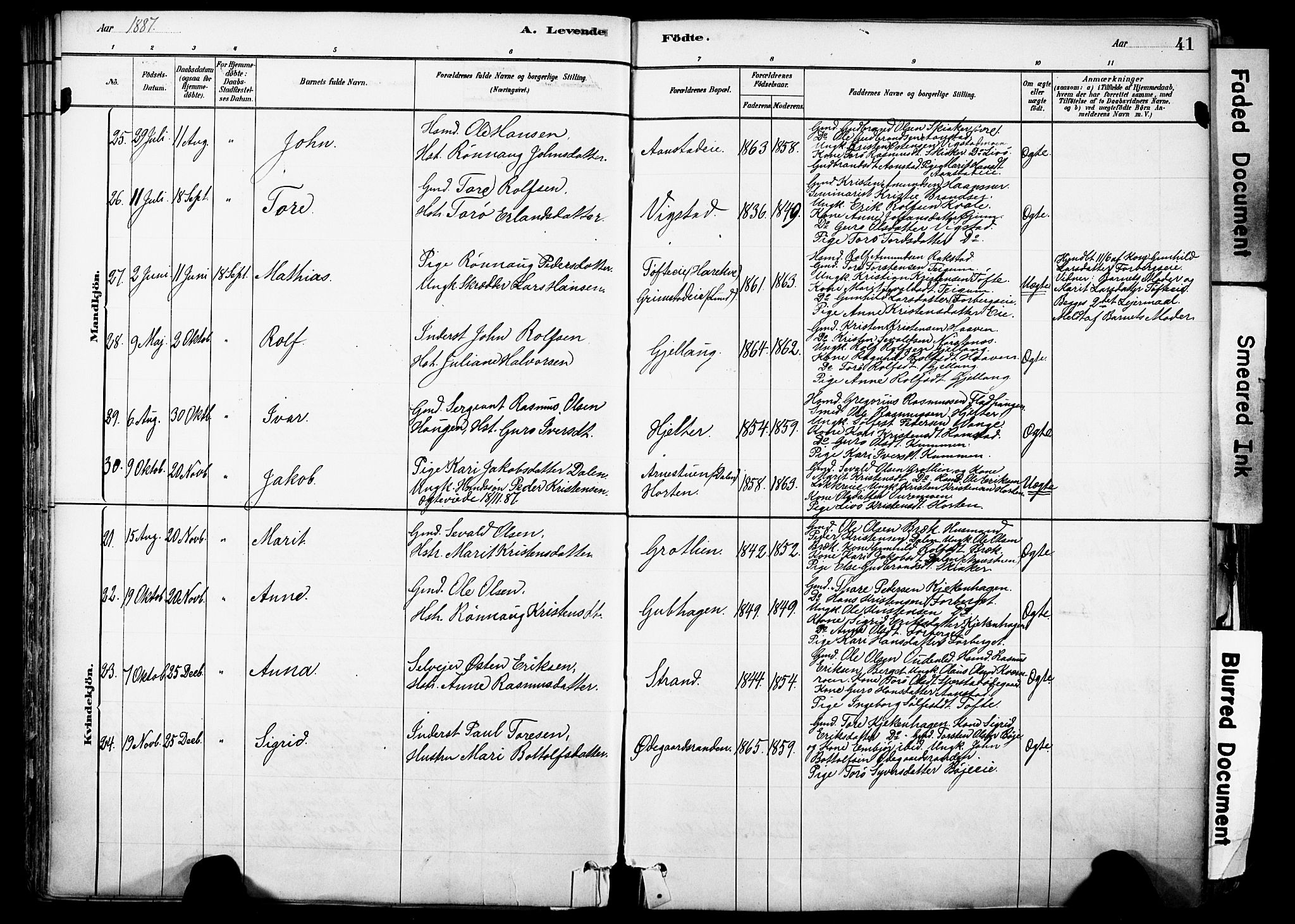 Skjåk prestekontor, AV/SAH-PREST-072/H/Ha/Haa/L0003: Ministerialbok nr. 3, 1880-1907, s. 41
