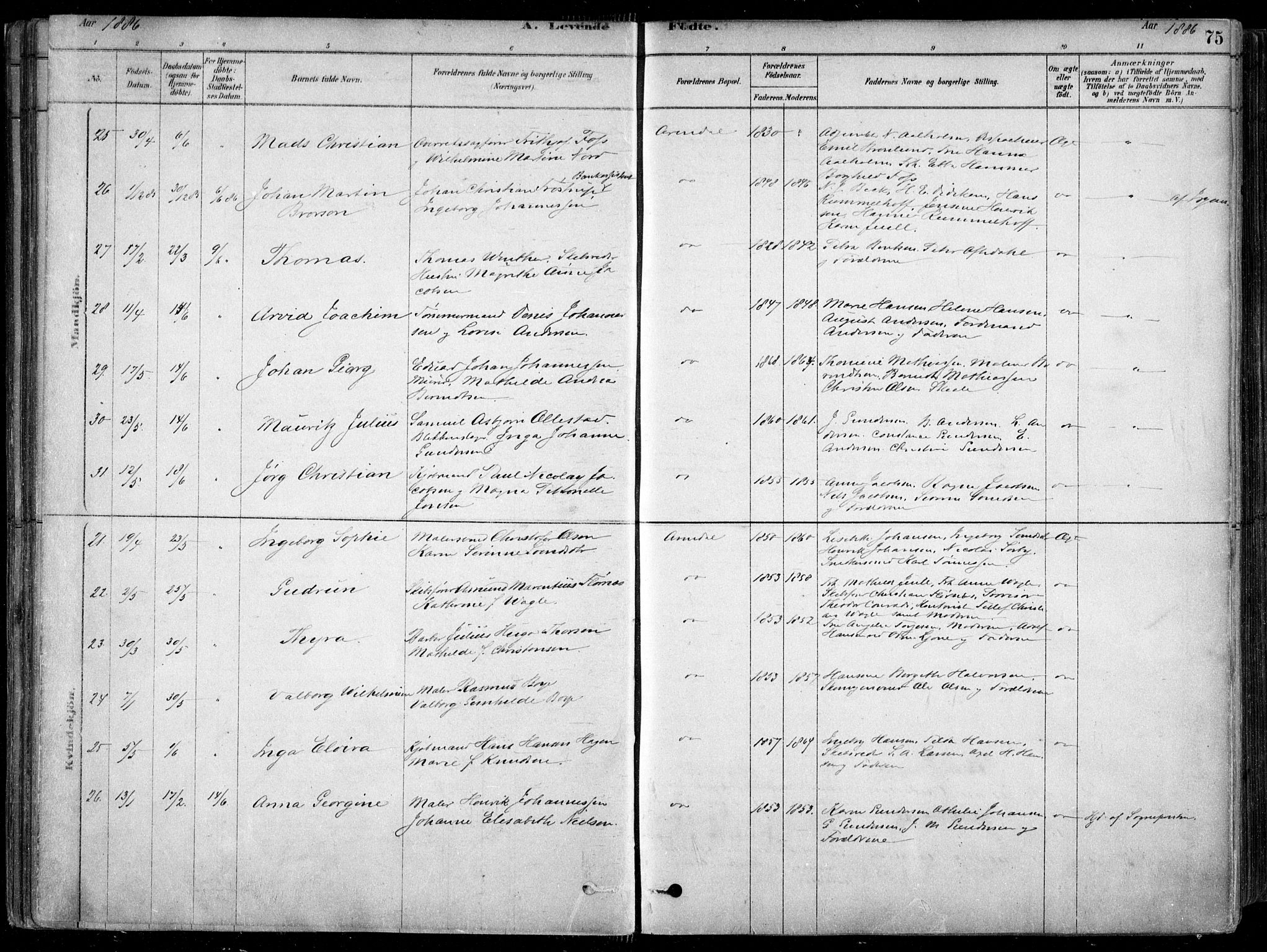 Arendal sokneprestkontor, Trefoldighet, AV/SAK-1111-0040/F/Fa/L0008: Ministerialbok nr. A 8, 1878-1899, s. 75