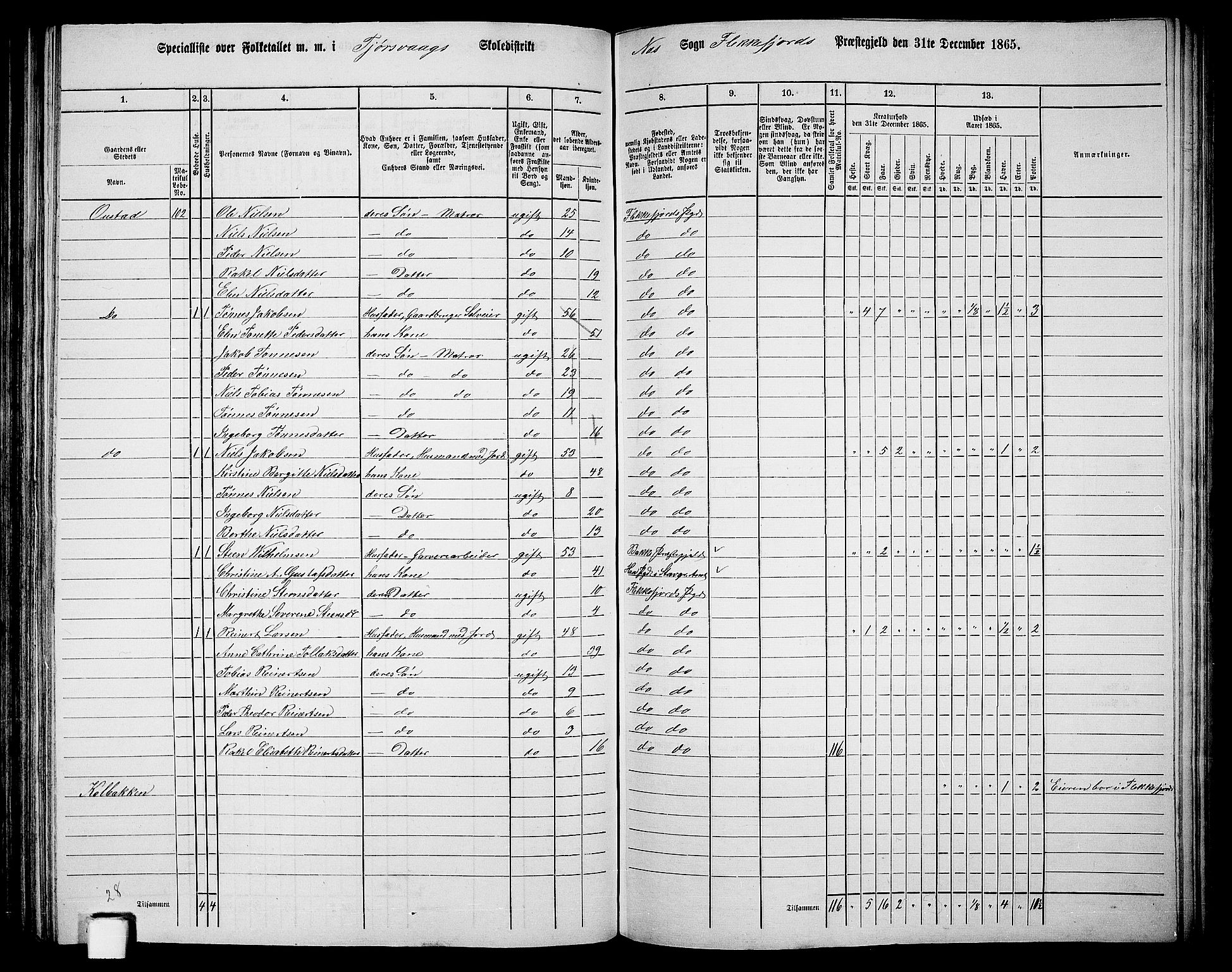 RA, Folketelling 1865 for 1042L Flekkefjord prestegjeld, Nes sokn og Hidra sokn, 1865, s. 114