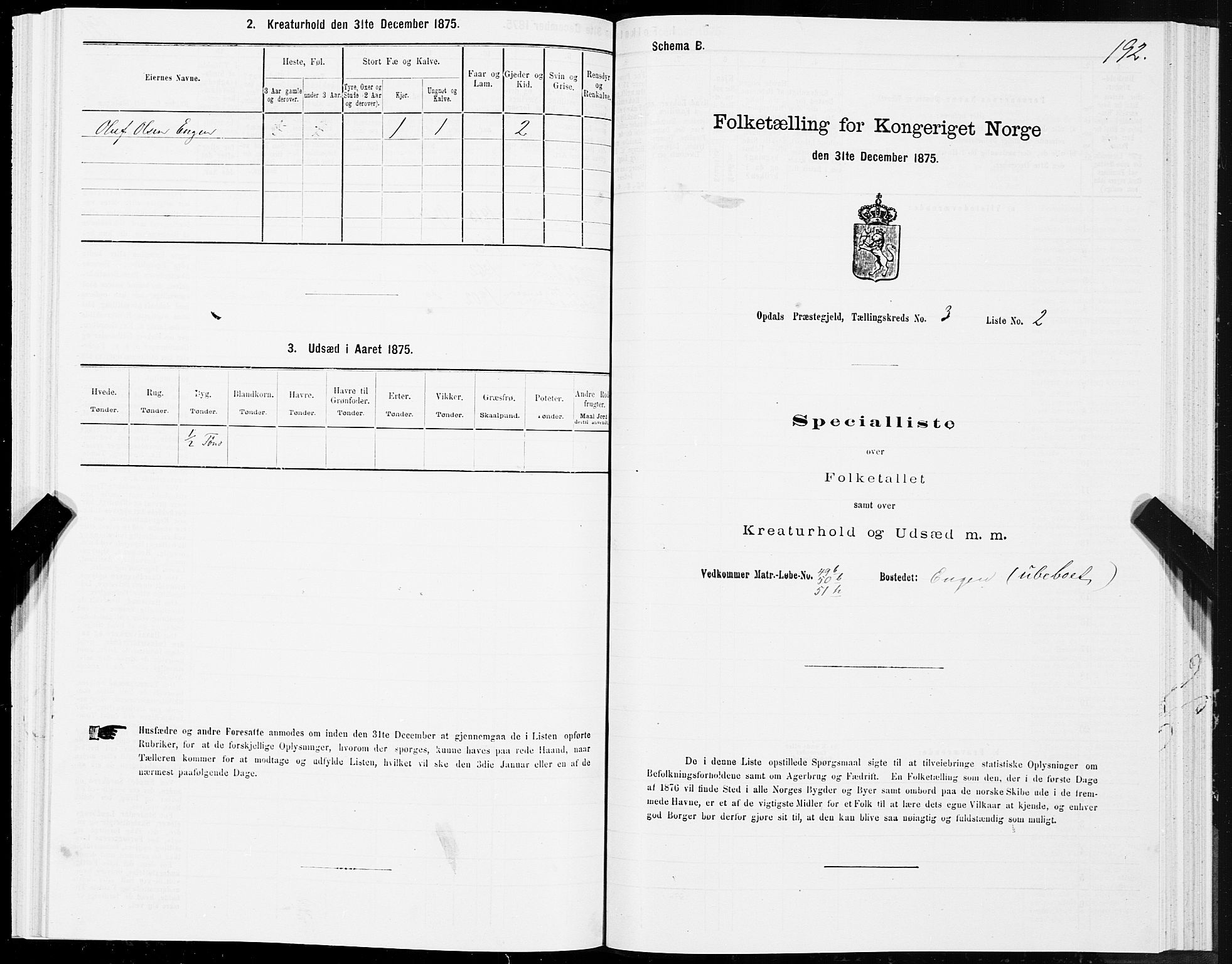 SAT, Folketelling 1875 for 1634P Oppdal prestegjeld, 1875, s. 2192