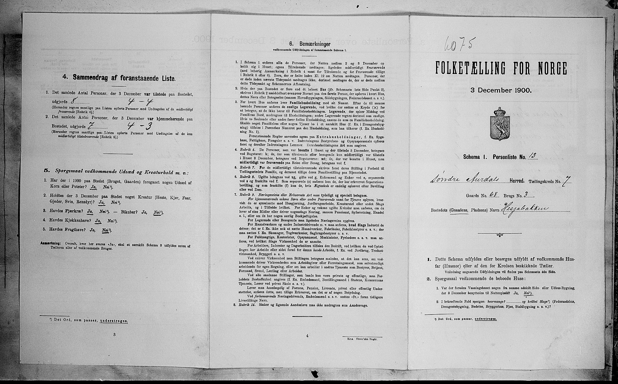 SAH, Folketelling 1900 for 0540 Sør-Aurdal herred, 1900, s. 860
