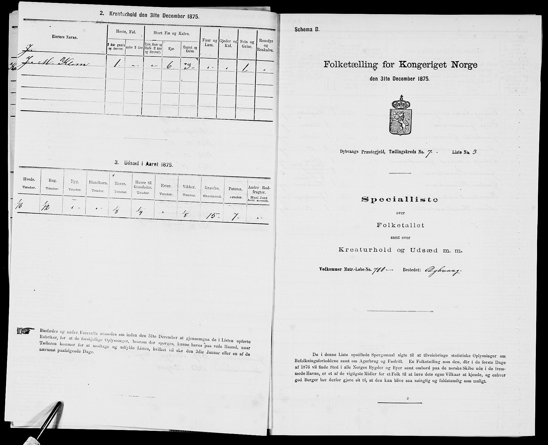 SAK, Folketelling 1875 for 0915P Dypvåg prestegjeld, 1875, s. 819