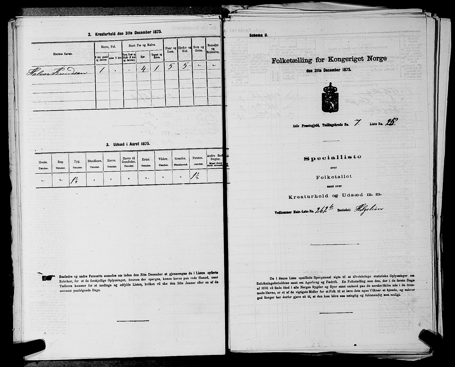 SAKO, Folketelling 1875 for 0619P Ål prestegjeld, 1875, s. 886