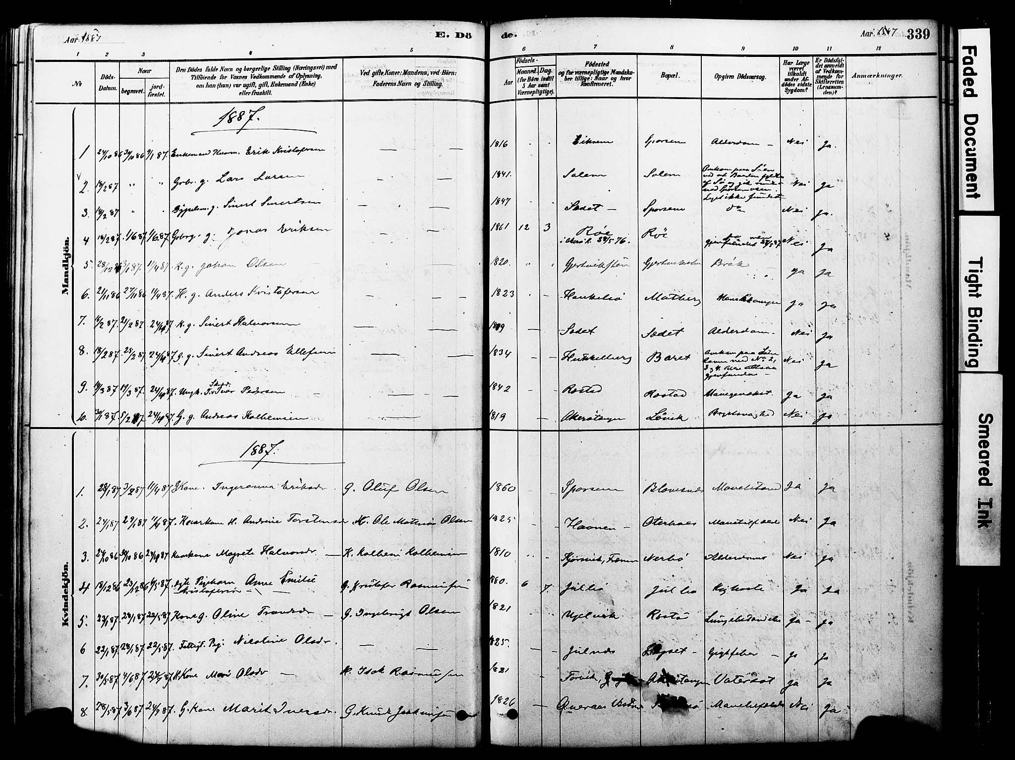 Ministerialprotokoller, klokkerbøker og fødselsregistre - Møre og Romsdal, AV/SAT-A-1454/560/L0721: Ministerialbok nr. 560A05, 1878-1917, s. 339