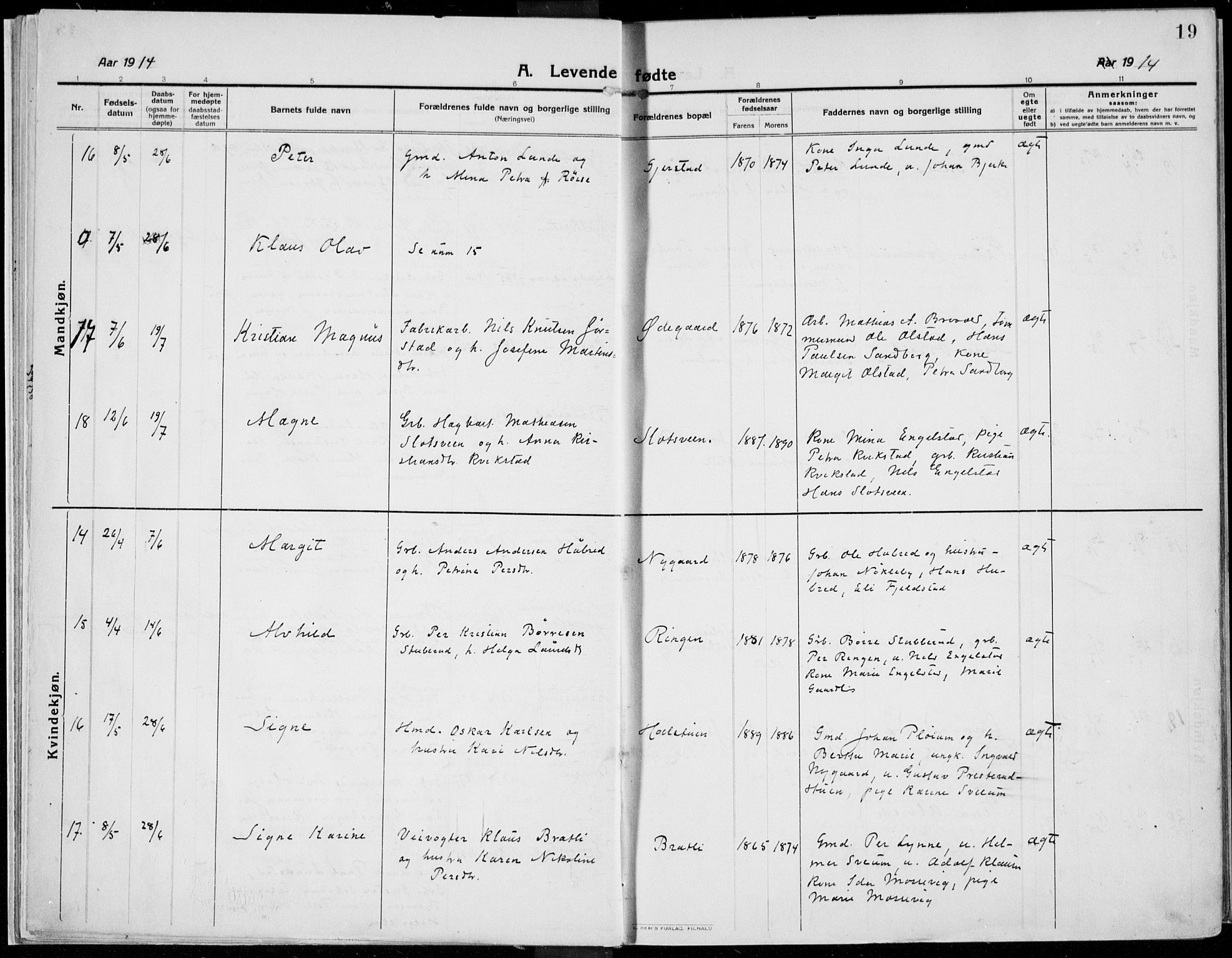 Kolbu prestekontor, AV/SAH-PREST-110/H/Ha/Haa/L0002: Ministerialbok nr. 2, 1912-1926, s. 19
