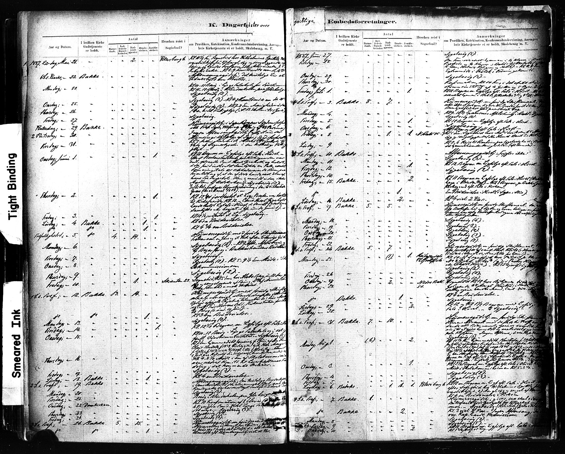 Ministerialprotokoller, klokkerbøker og fødselsregistre - Sør-Trøndelag, SAT/A-1456/604/L0189: Ministerialbok nr. 604A10, 1878-1892, s. 407