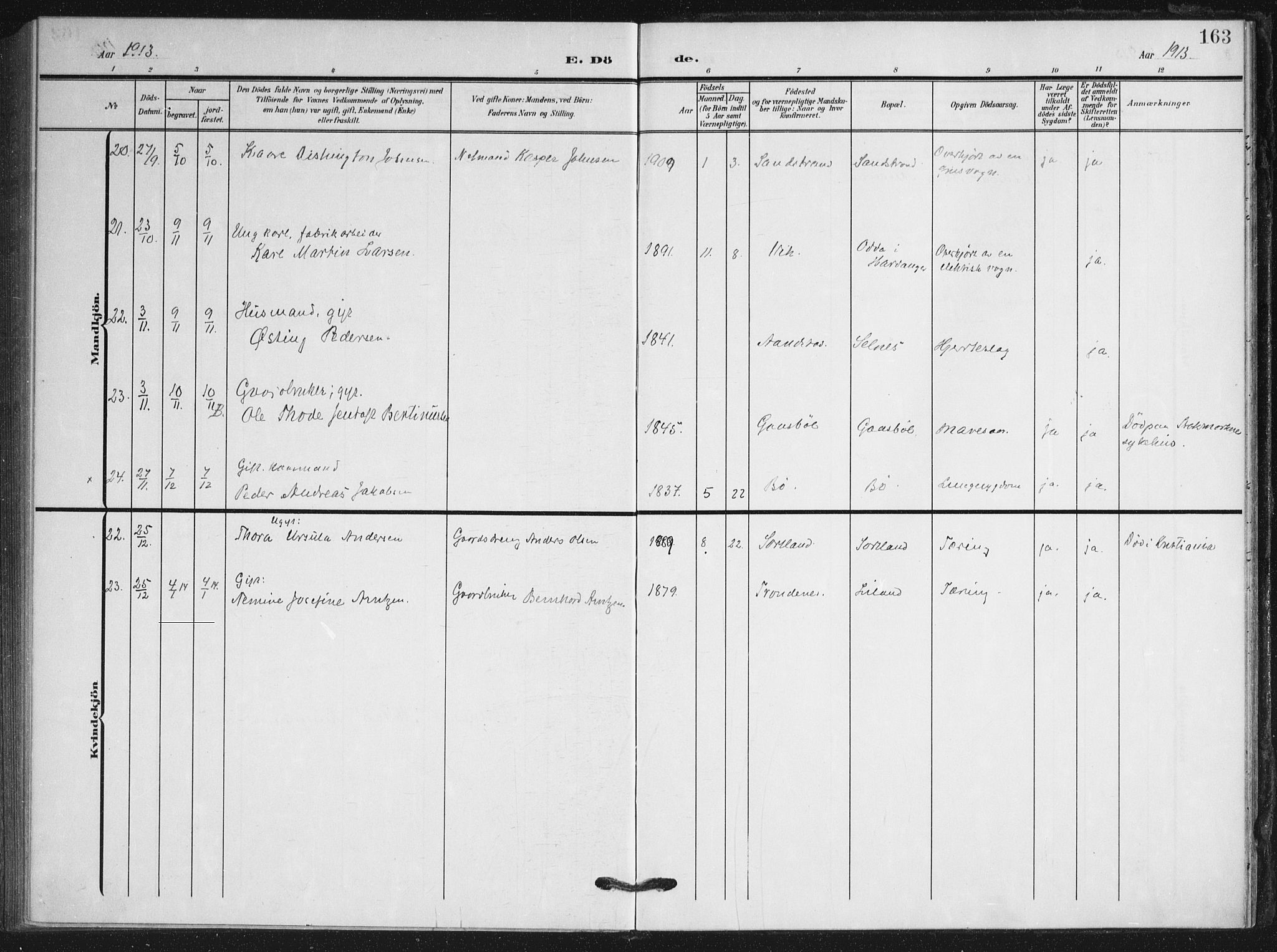 Ministerialprotokoller, klokkerbøker og fødselsregistre - Nordland, AV/SAT-A-1459/895/L1373: Ministerialbok nr. 895A08, 1905-1915, s. 163