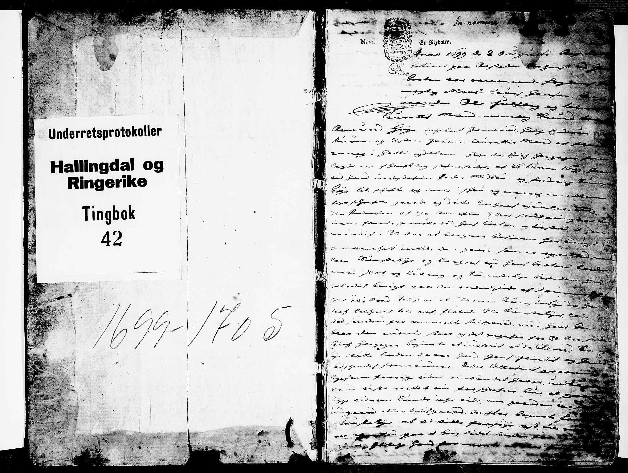 Ringerike og Hallingdal sorenskriveri, SAKO/A-81/F/Fa/Faa/L0024: Tingbok, 1699-1705, s. 1
