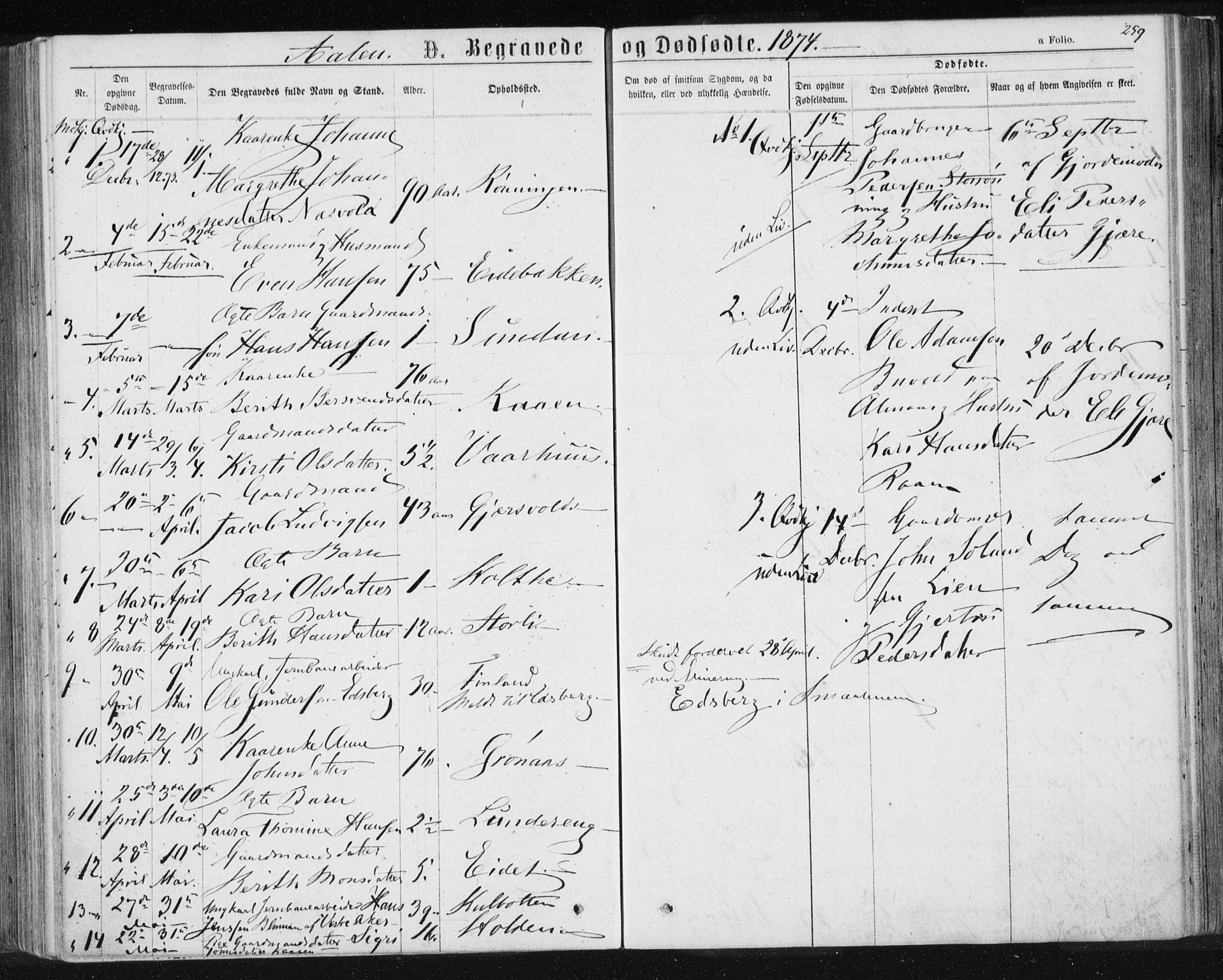 Ministerialprotokoller, klokkerbøker og fødselsregistre - Sør-Trøndelag, AV/SAT-A-1456/685/L0971: Ministerialbok nr. 685A08 /3, 1870-1879, s. 259