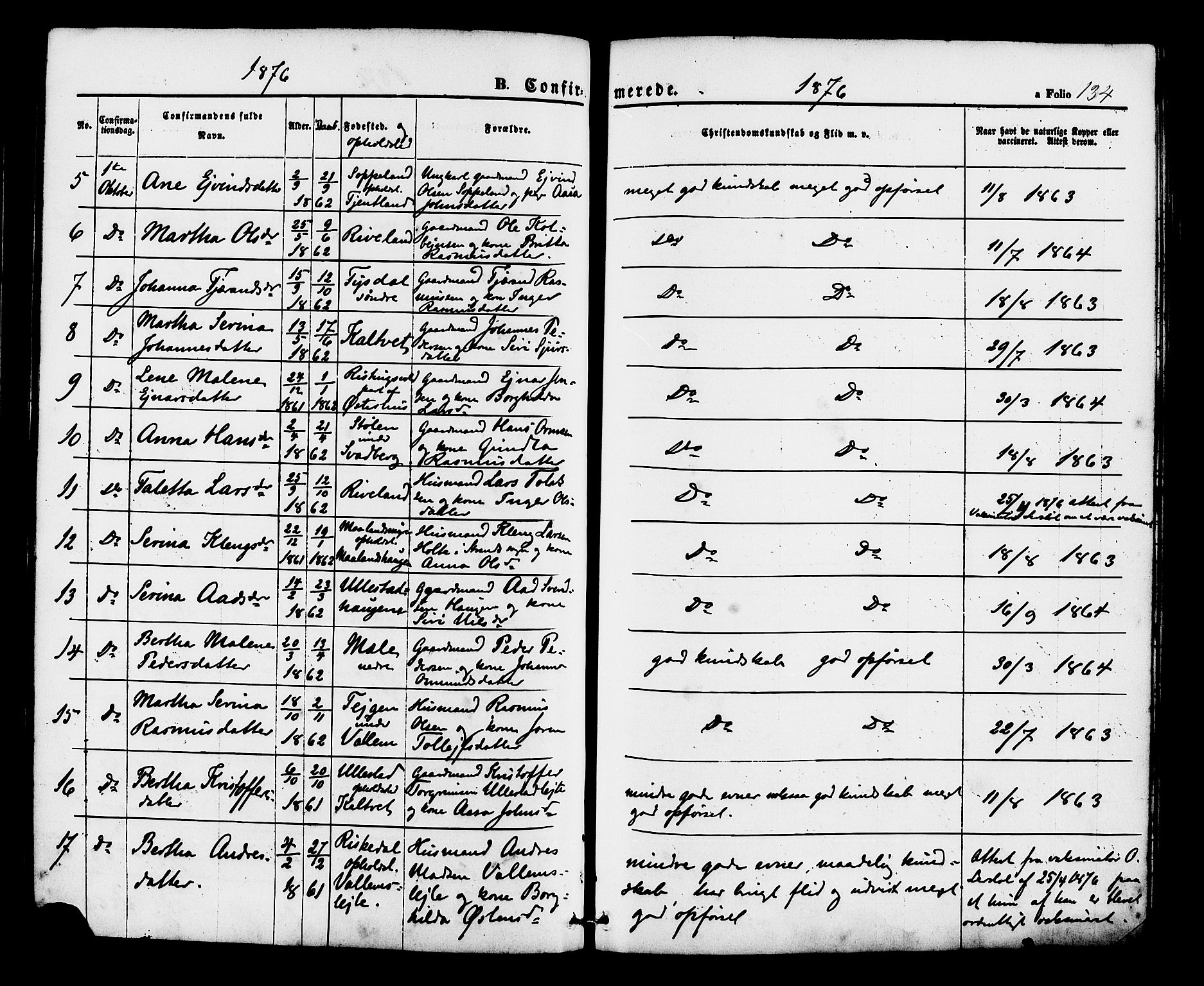 Hjelmeland sokneprestkontor, SAST/A-101843/01/IV/L0012: Ministerialbok nr. A 12, 1862-1886, s. 134