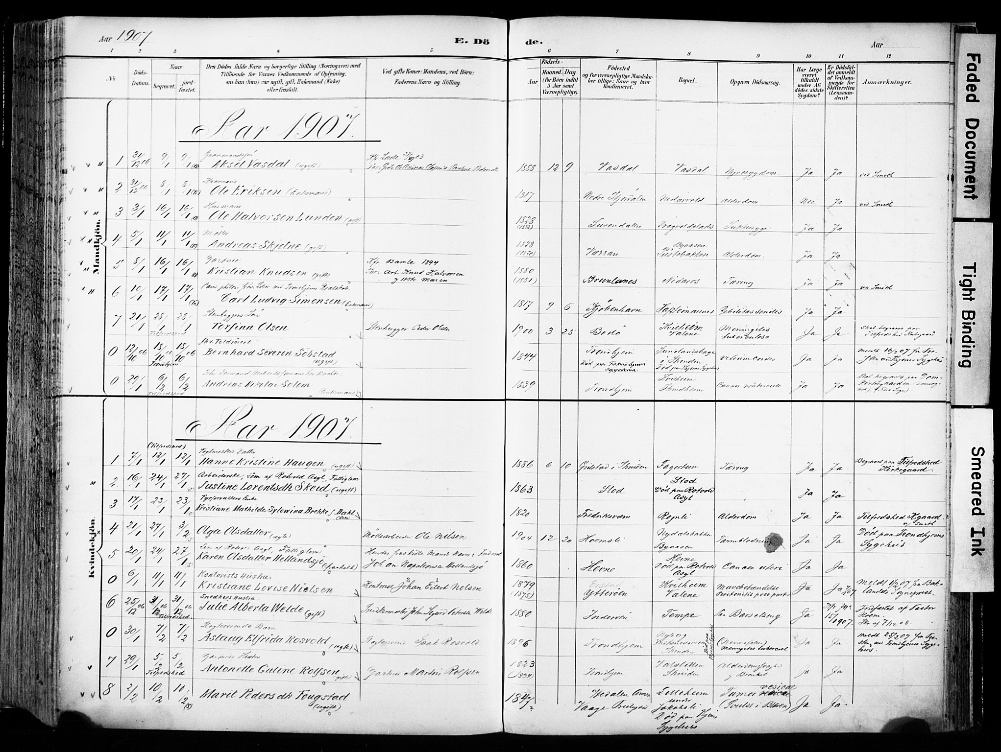 Ministerialprotokoller, klokkerbøker og fødselsregistre - Sør-Trøndelag, AV/SAT-A-1456/606/L0301: Ministerialbok nr. 606A16, 1894-1907