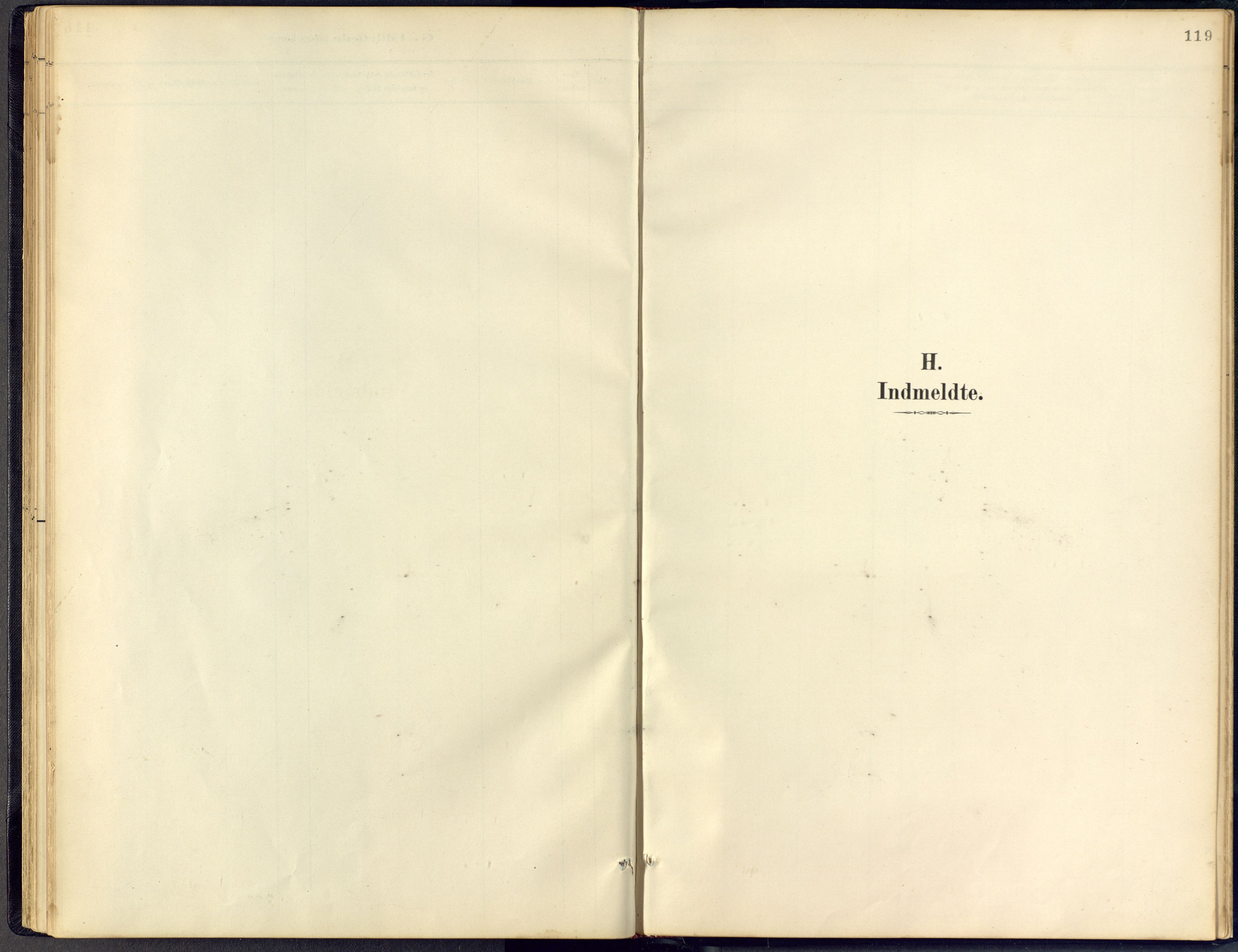 Vinje kirkebøker, SAKO/A-312/F/Fb/L0002: Ministerialbok nr. II 2, 1887-1925, s. 119