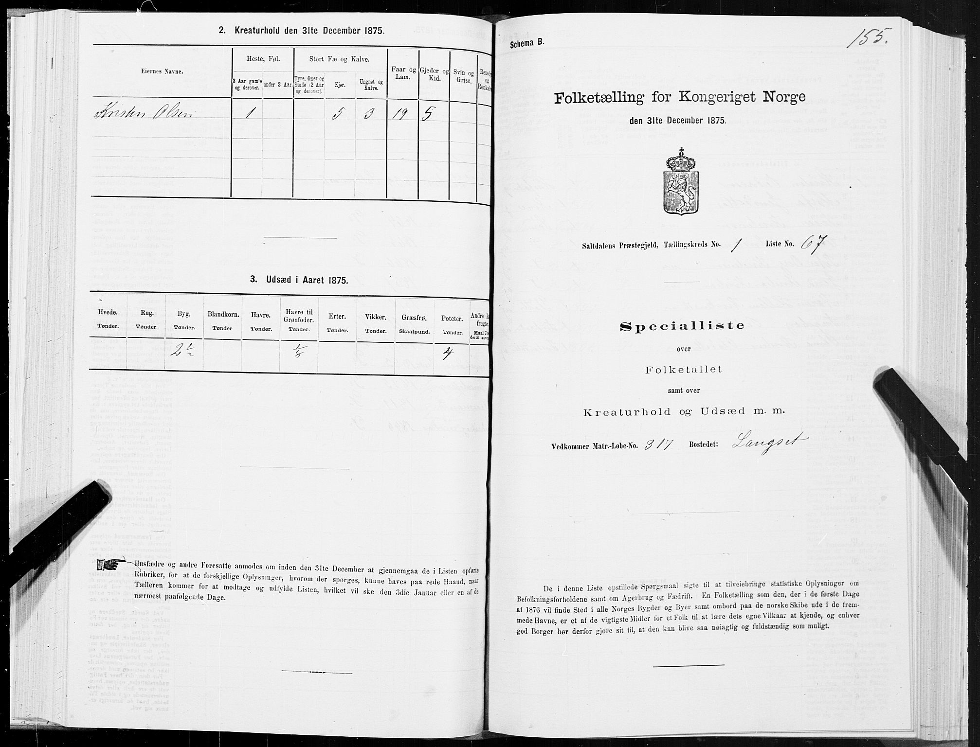 SAT, Folketelling 1875 for 1840P Saltdal prestegjeld, 1875, s. 1155