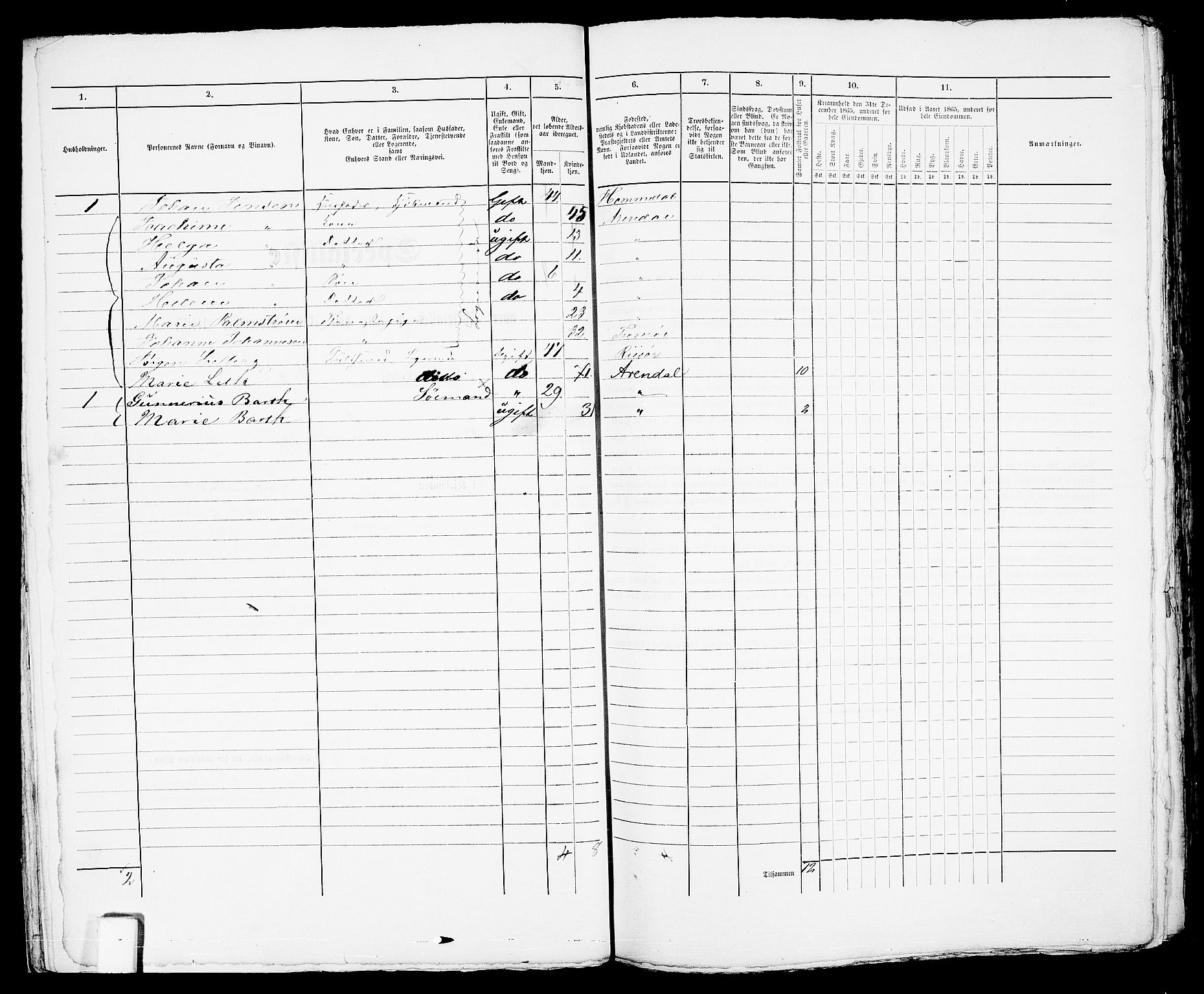 RA, Folketelling 1865 for 0903P Arendal prestegjeld, 1865, s. 30