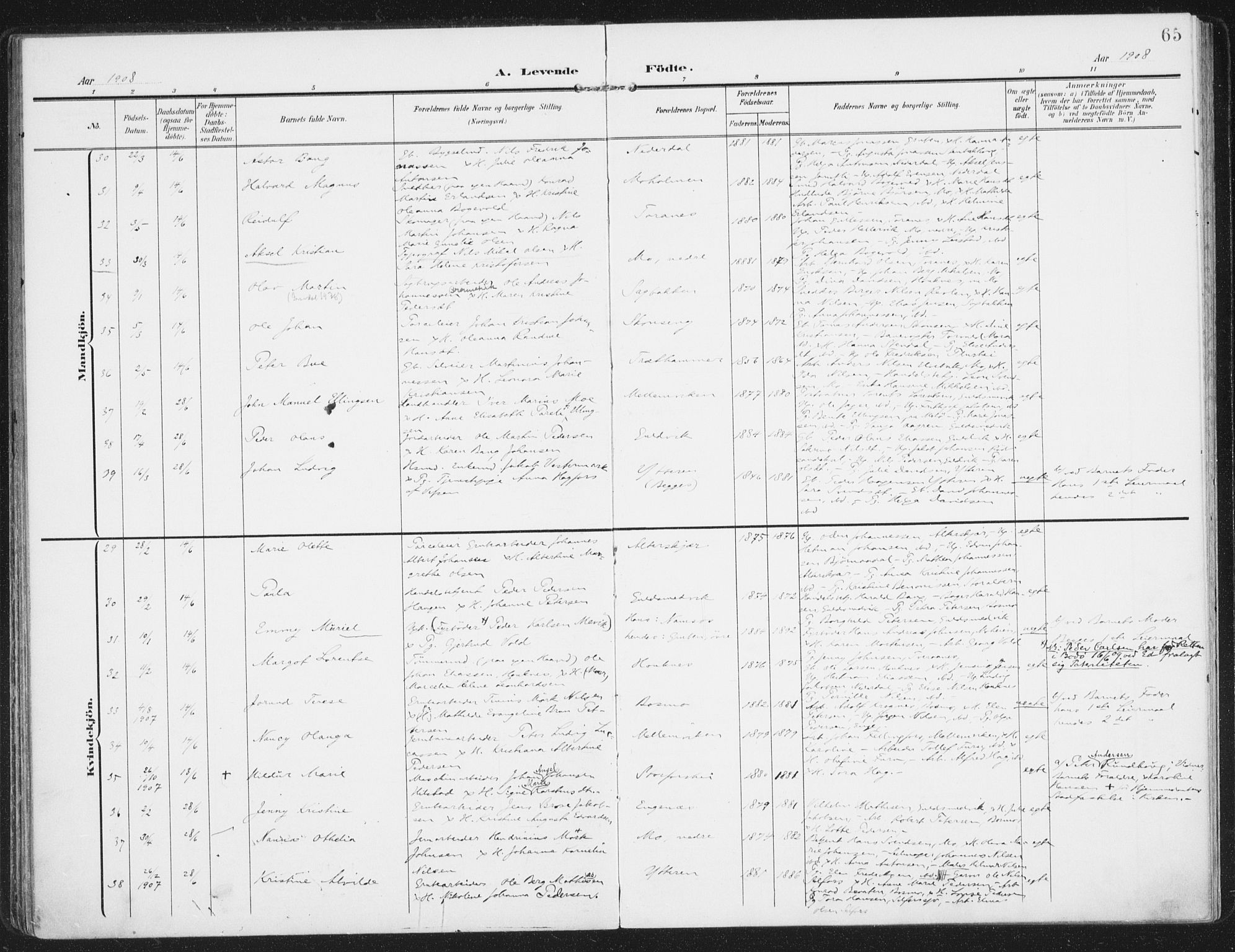 Ministerialprotokoller, klokkerbøker og fødselsregistre - Nordland, AV/SAT-A-1459/827/L0402: Ministerialbok nr. 827A14, 1903-1912, s. 65