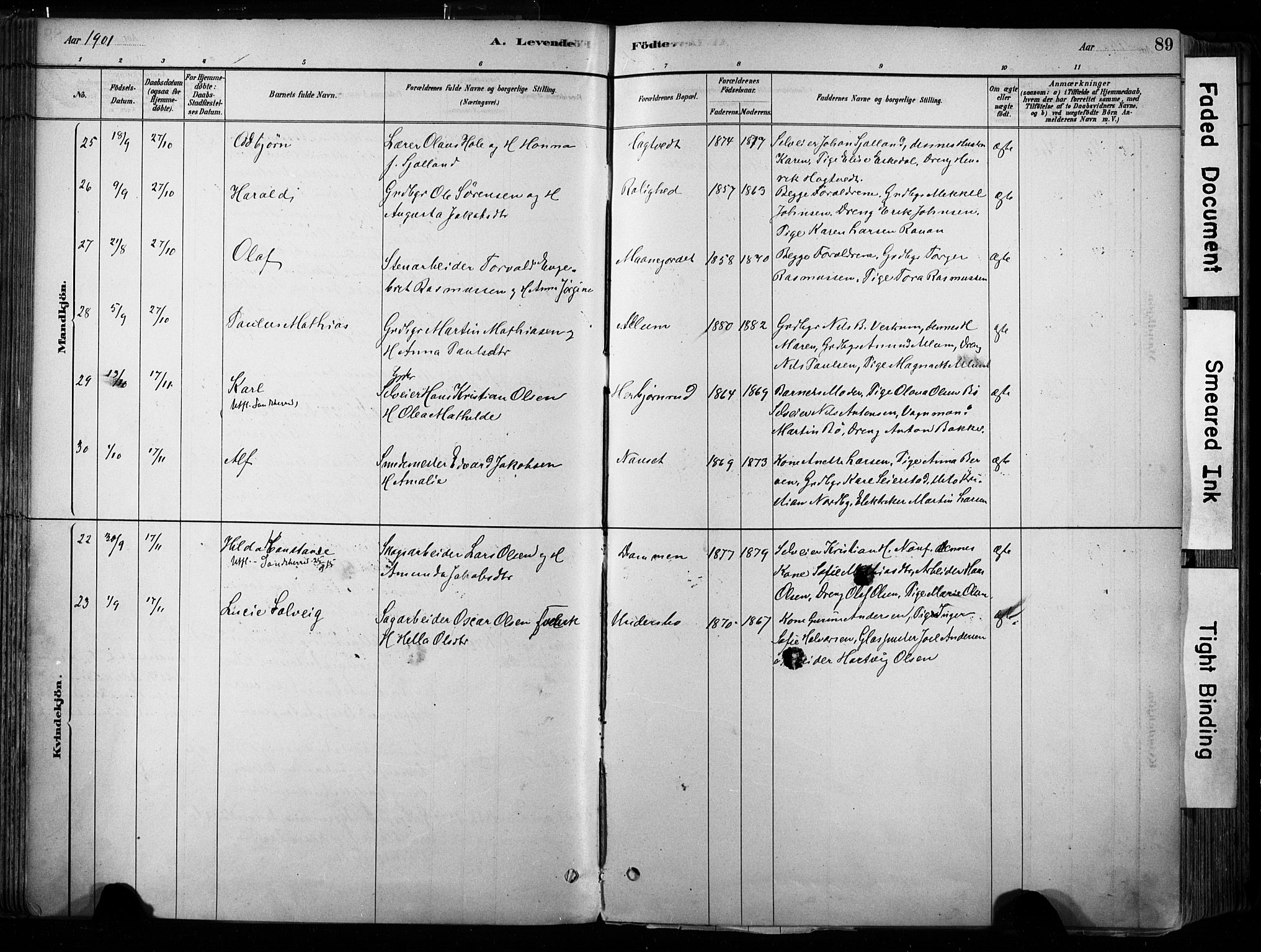 Hedrum kirkebøker, AV/SAKO-A-344/F/Fa/L0009: Ministerialbok nr. I 9, 1881-1903, s. 89