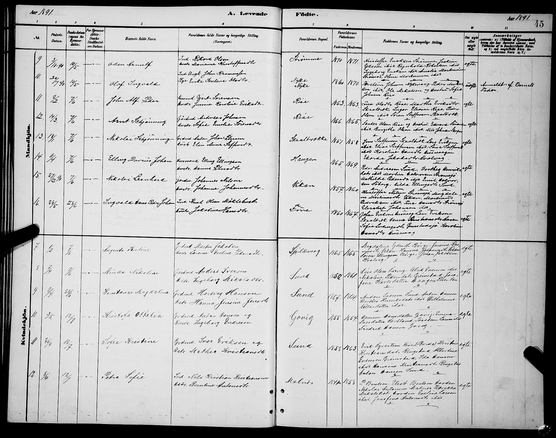 Ministerialprotokoller, klokkerbøker og fødselsregistre - Nordland, SAT/A-1459/892/L1325: Klokkerbok nr. 892C02, 1878-1896, s. 45