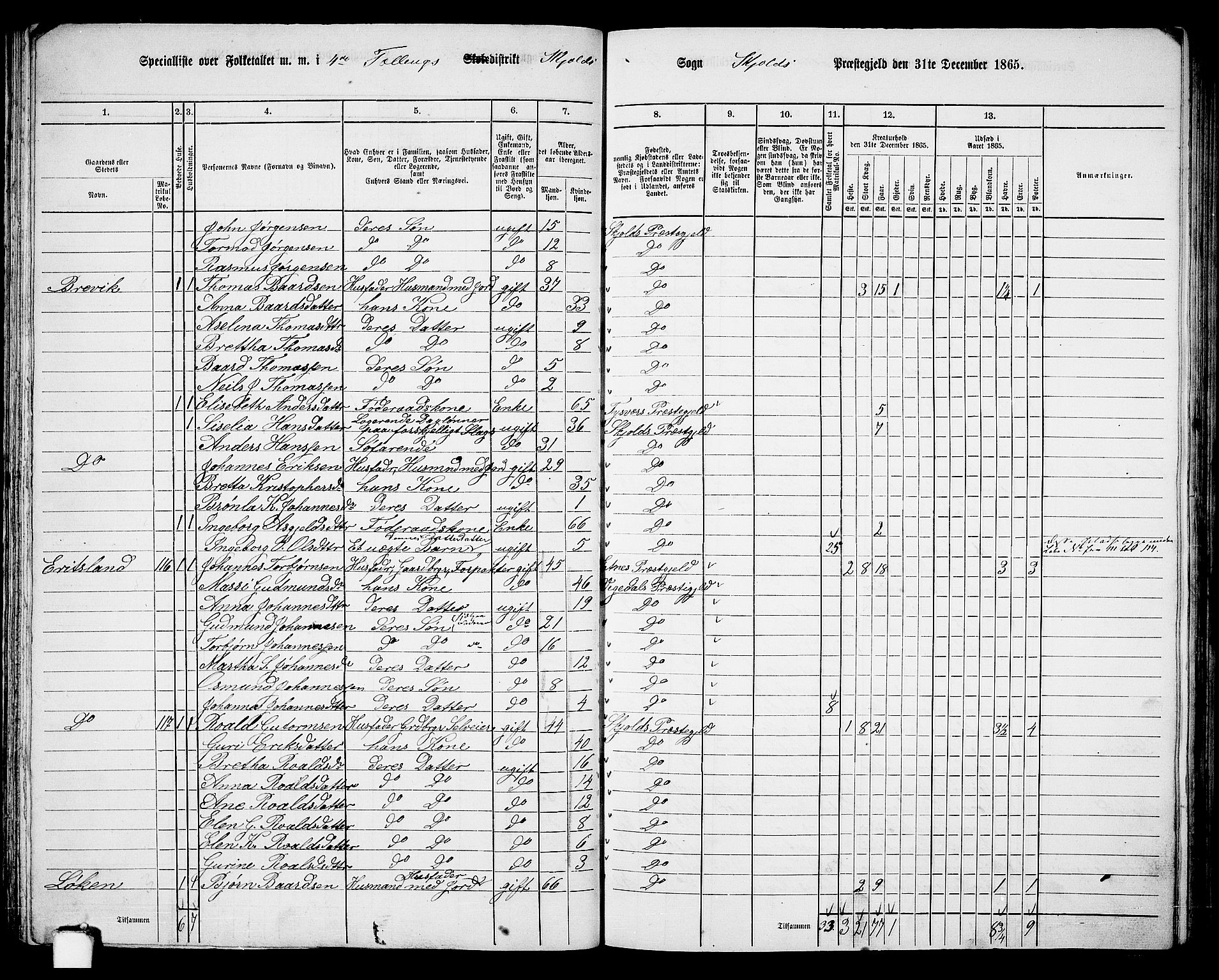 RA, Folketelling 1865 for 1154P Skjold prestegjeld, 1865, s. 56