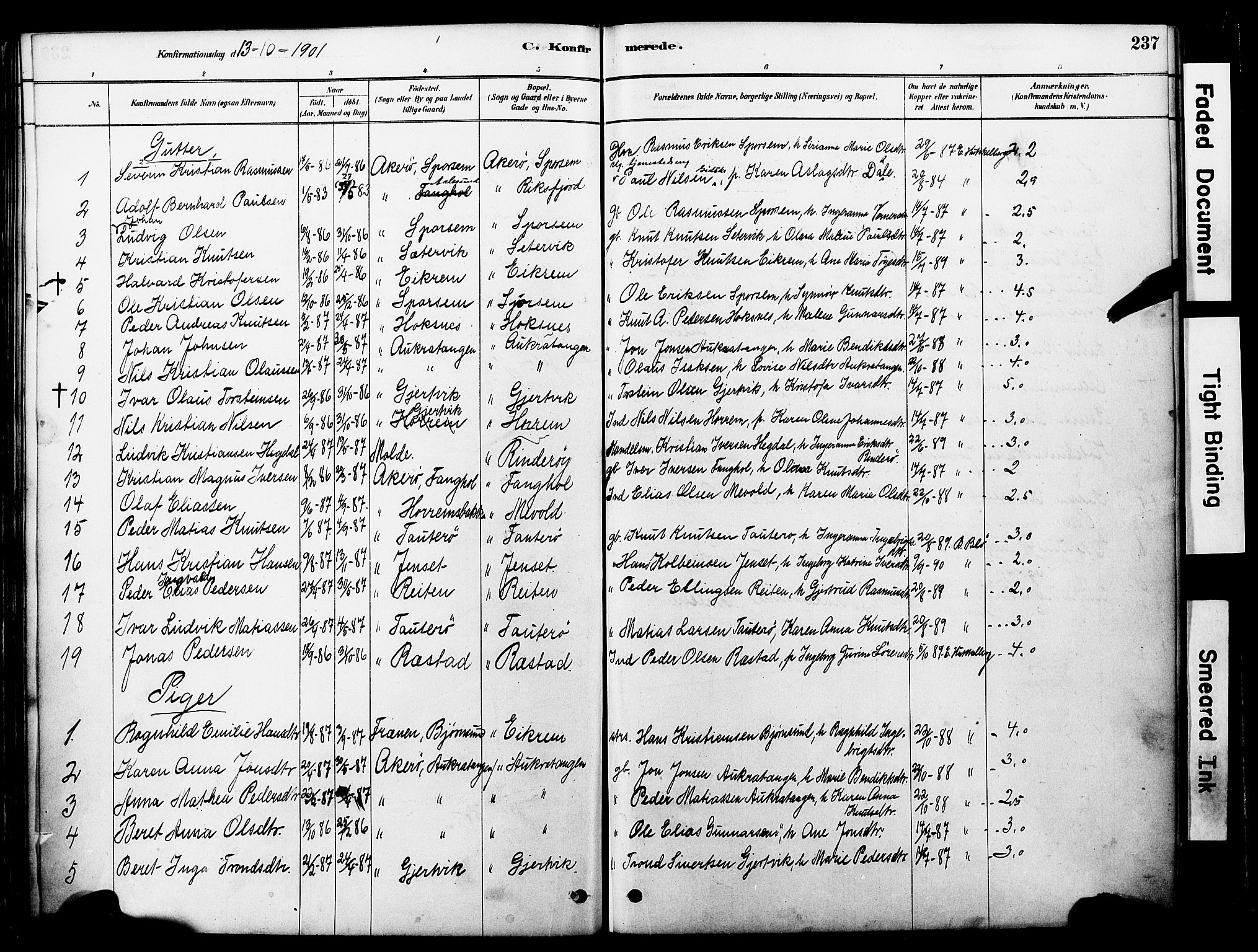 Ministerialprotokoller, klokkerbøker og fødselsregistre - Møre og Romsdal, AV/SAT-A-1454/560/L0721: Ministerialbok nr. 560A05, 1878-1917, s. 237
