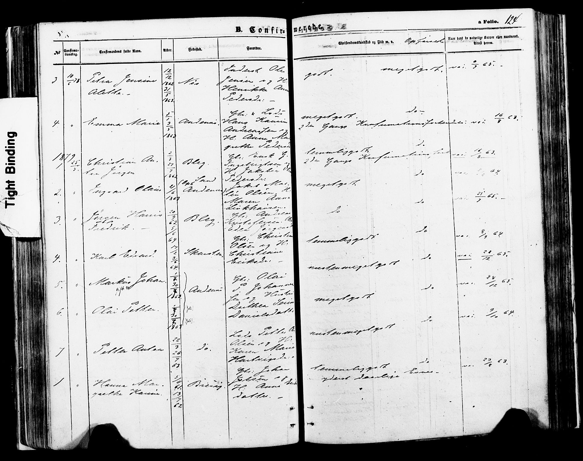 Ministerialprotokoller, klokkerbøker og fødselsregistre - Nordland, AV/SAT-A-1459/897/L1398: Ministerialbok nr. 897A05 /2, 1867-1880, s. 124