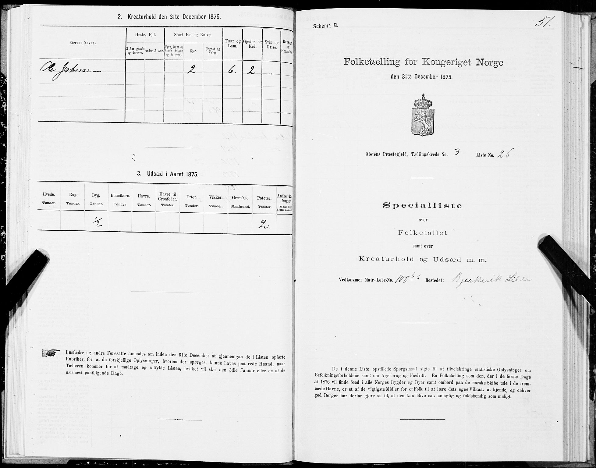 SAT, Folketelling 1875 for 1853P Ofoten prestegjeld, 1875, s. 2051