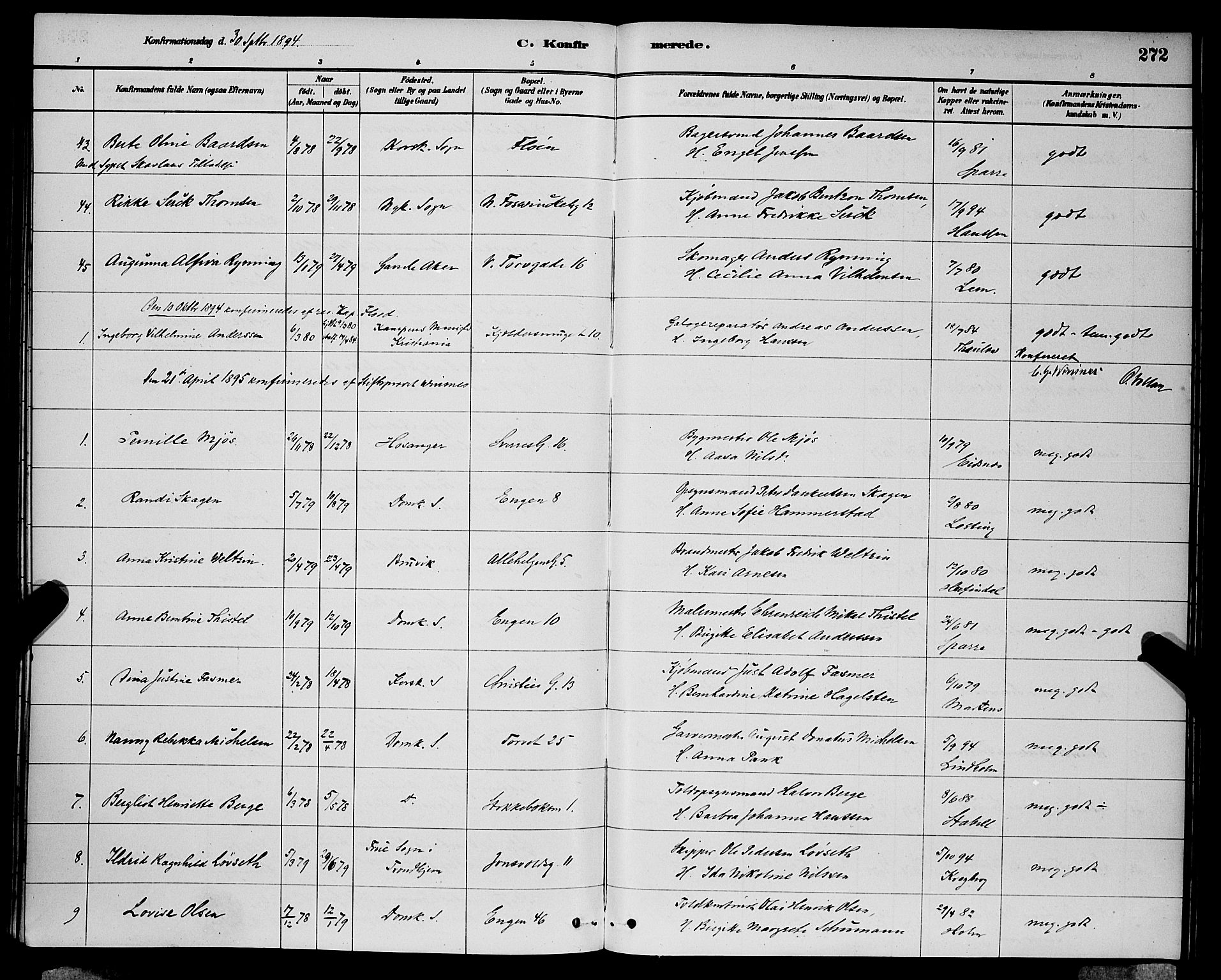 Domkirken sokneprestembete, AV/SAB-A-74801/H/Hab/L0024: Klokkerbok nr. C 4, 1880-1899, s. 272