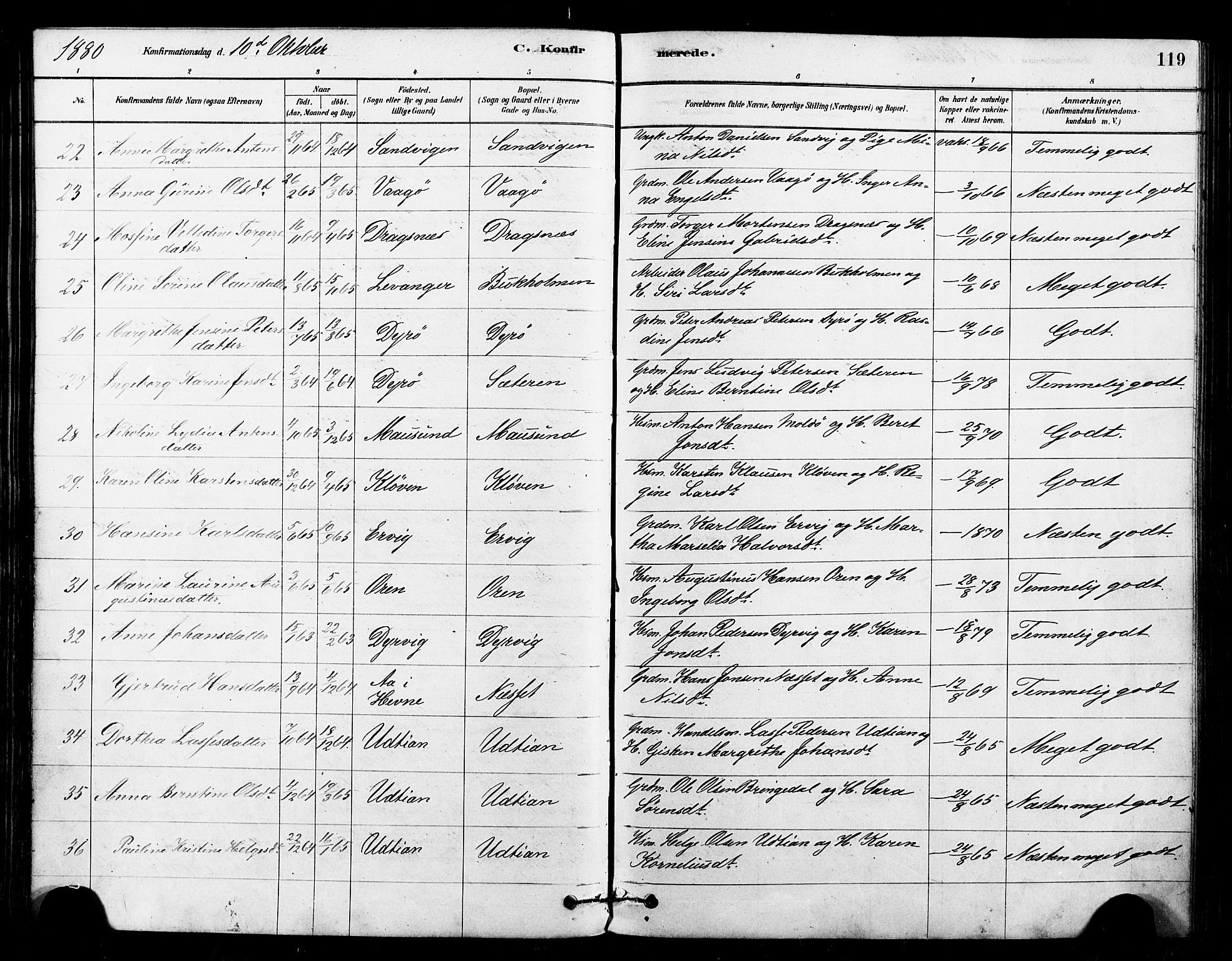 Ministerialprotokoller, klokkerbøker og fødselsregistre - Sør-Trøndelag, AV/SAT-A-1456/640/L0578: Ministerialbok nr. 640A03, 1879-1889, s. 119