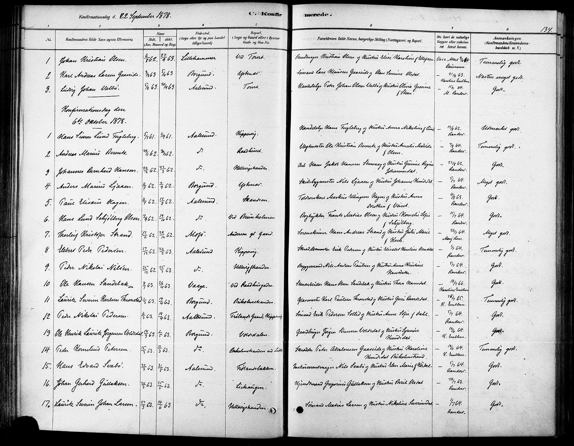 Ministerialprotokoller, klokkerbøker og fødselsregistre - Møre og Romsdal, AV/SAT-A-1454/529/L0454: Ministerialbok nr. 529A04, 1878-1885, s. 134
