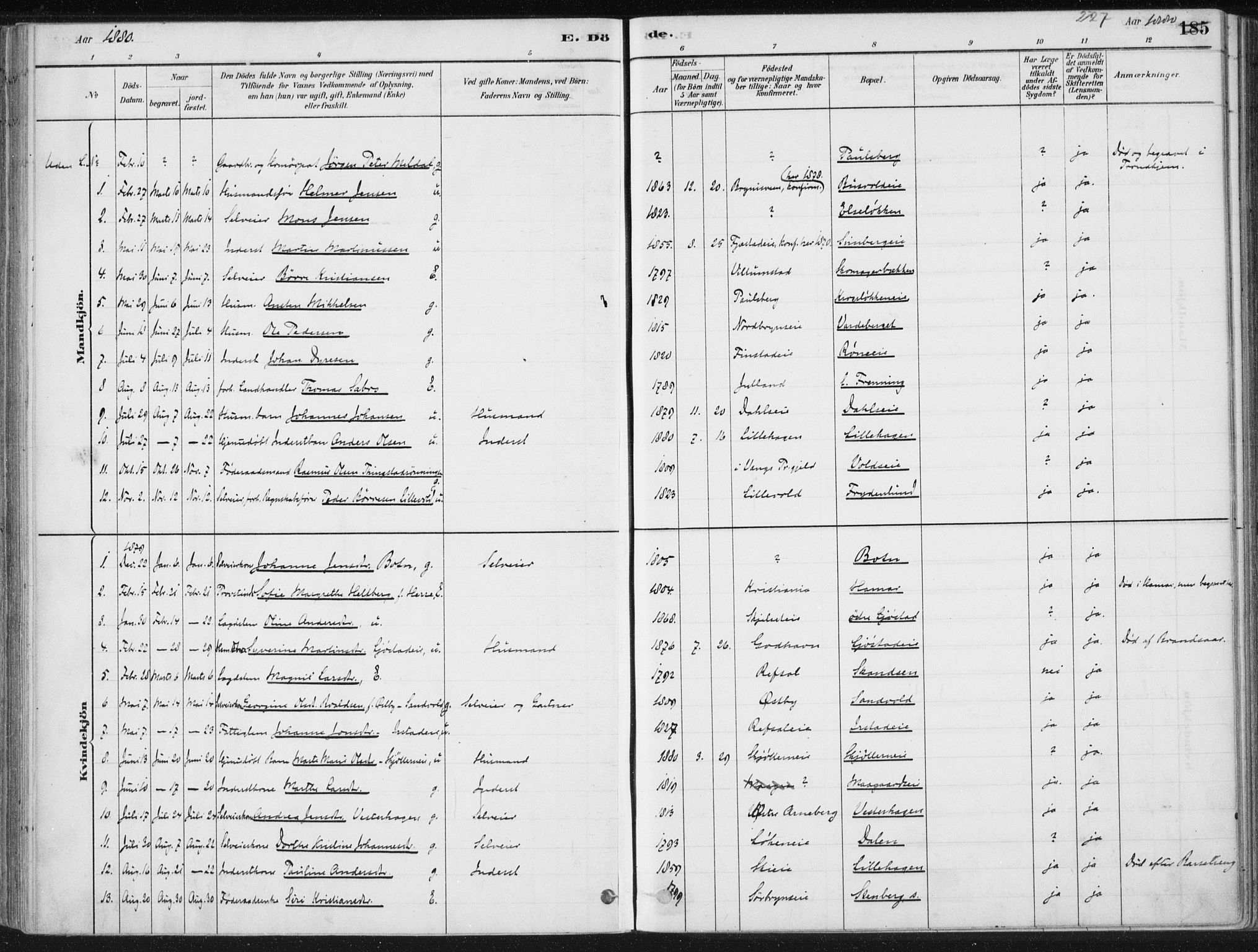 Romedal prestekontor, AV/SAH-PREST-004/K/L0010: Ministerialbok nr. 10, 1880-1895, s. 227