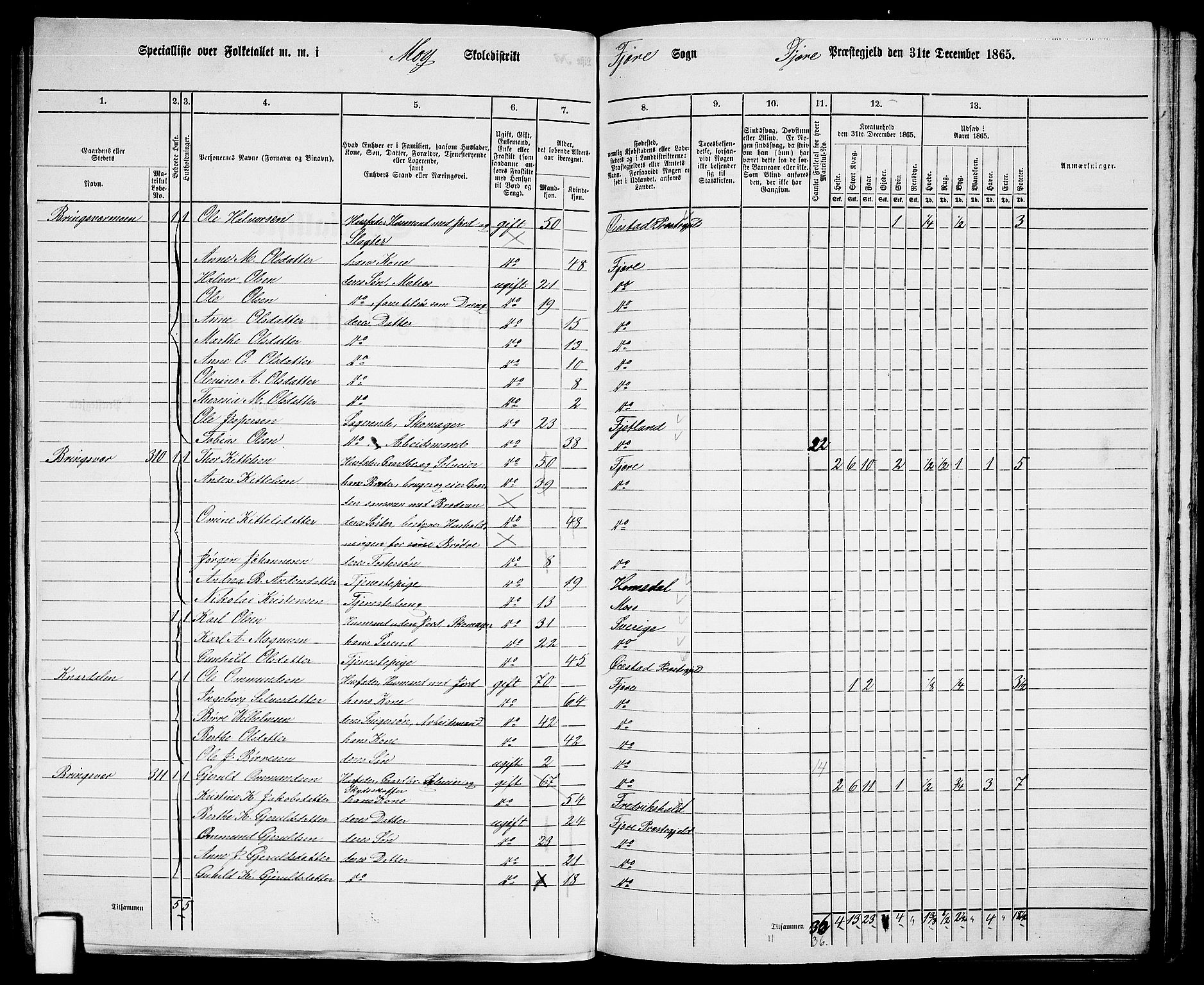 RA, Folketelling 1865 for 0923L Fjære prestegjeld, Fjære sokn, 1865, s. 120