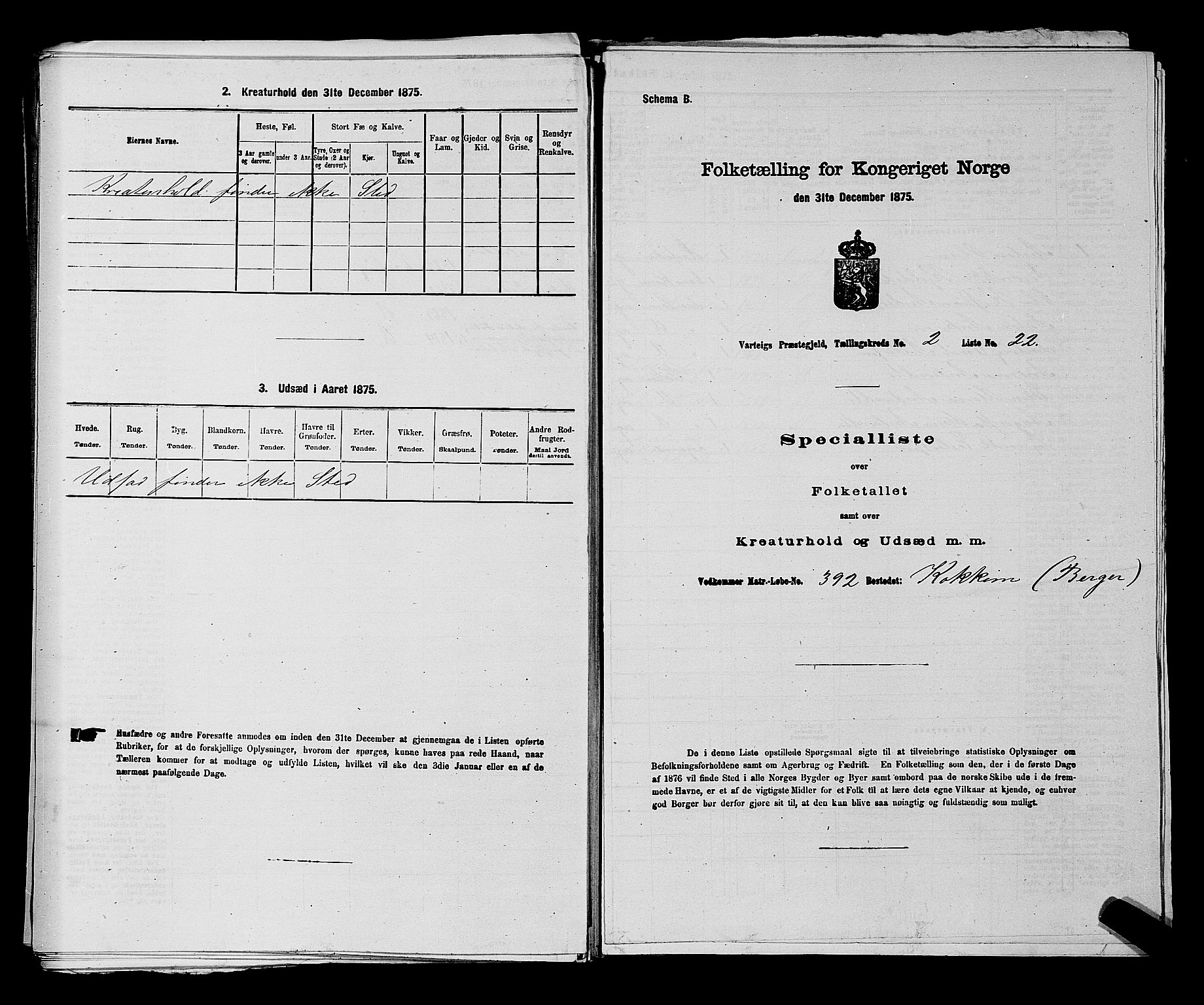 RA, Folketelling 1875 for 0114P Varteig prestegjeld, 1875, s. 226