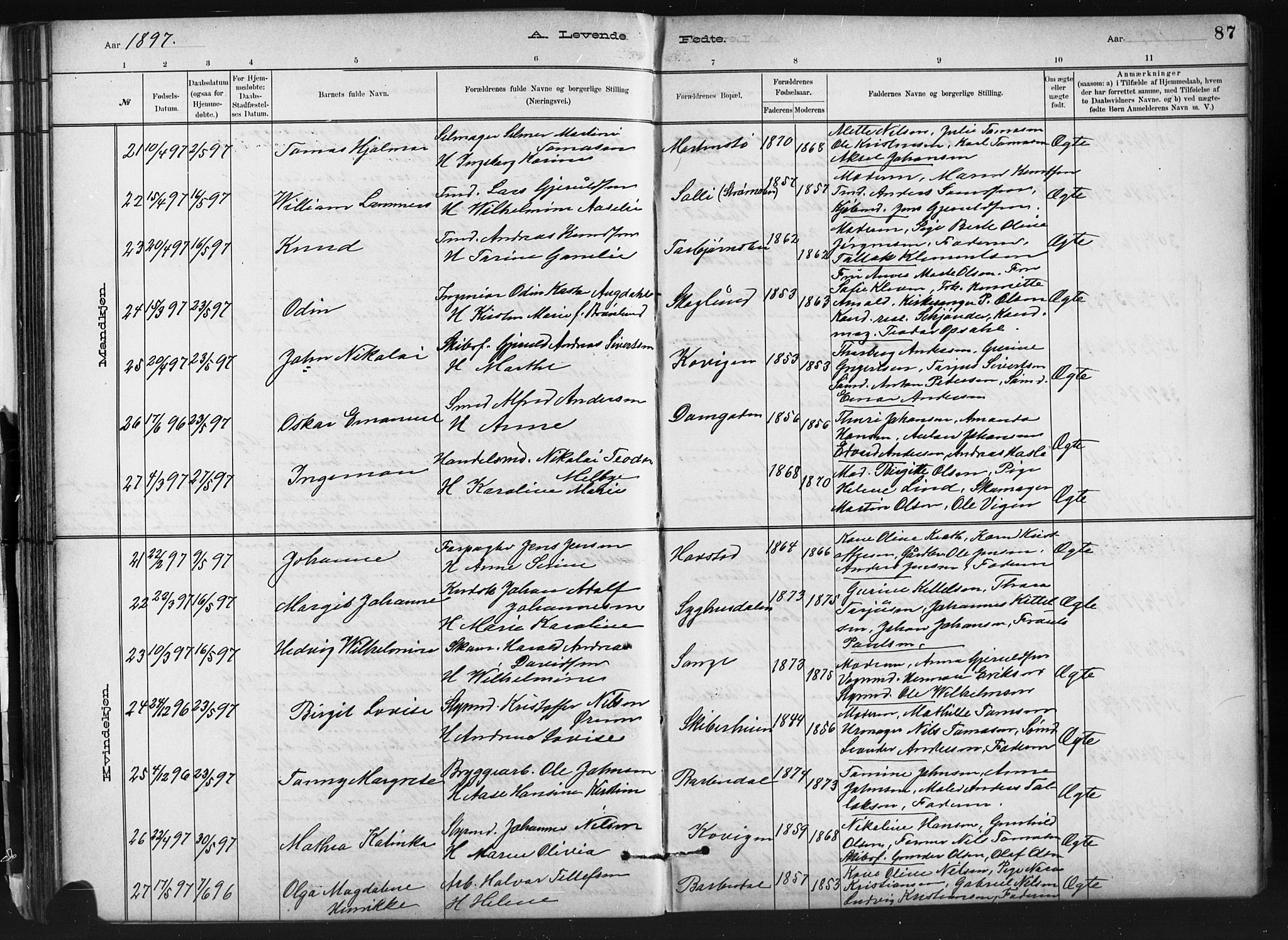 Barbu sokneprestkontor, AV/SAK-1111-0003/F/Fb/L0002: Klokkerbok nr. B 2, 1890-1922, s. 87